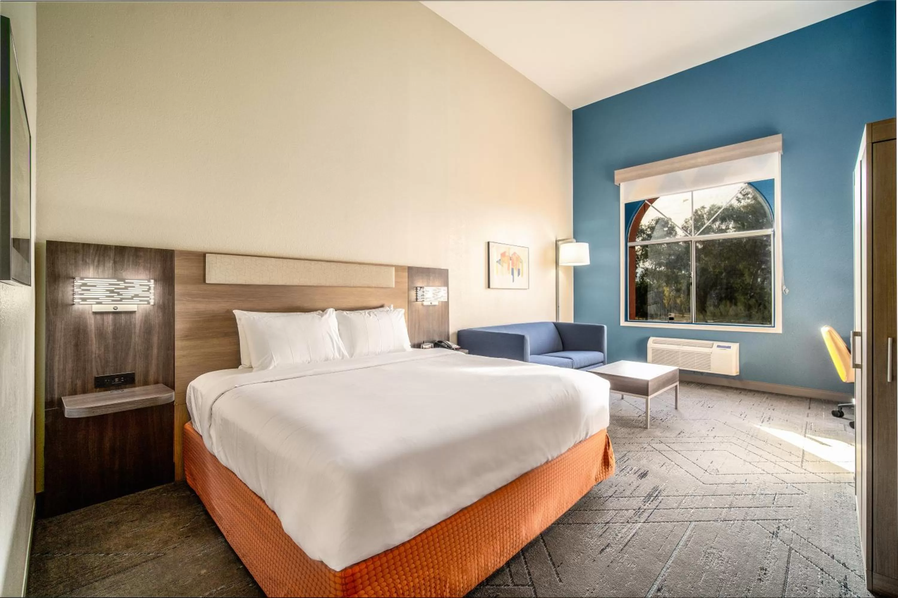 Standard King Room with Communications and Mobility Accessible Roll-In Shower in Holiday Inn Express & Suites Phoenix - Mesa West by IHG