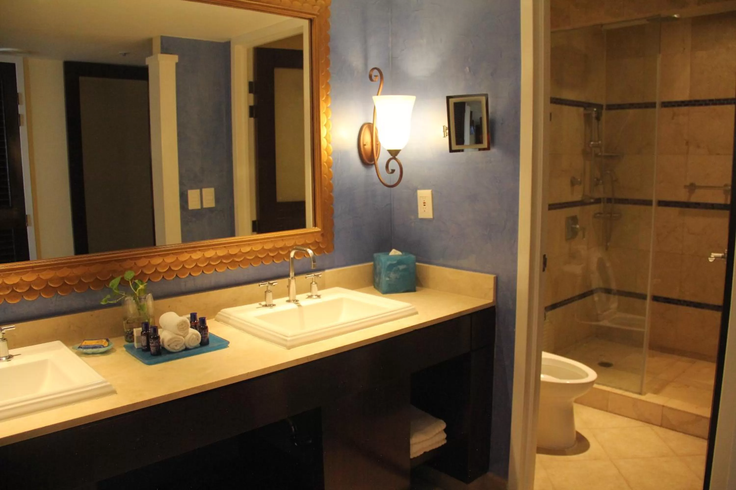 Deluxe Partial Ocean View Double in Princess Mundo Imperial Riviera Diamante Acapulco