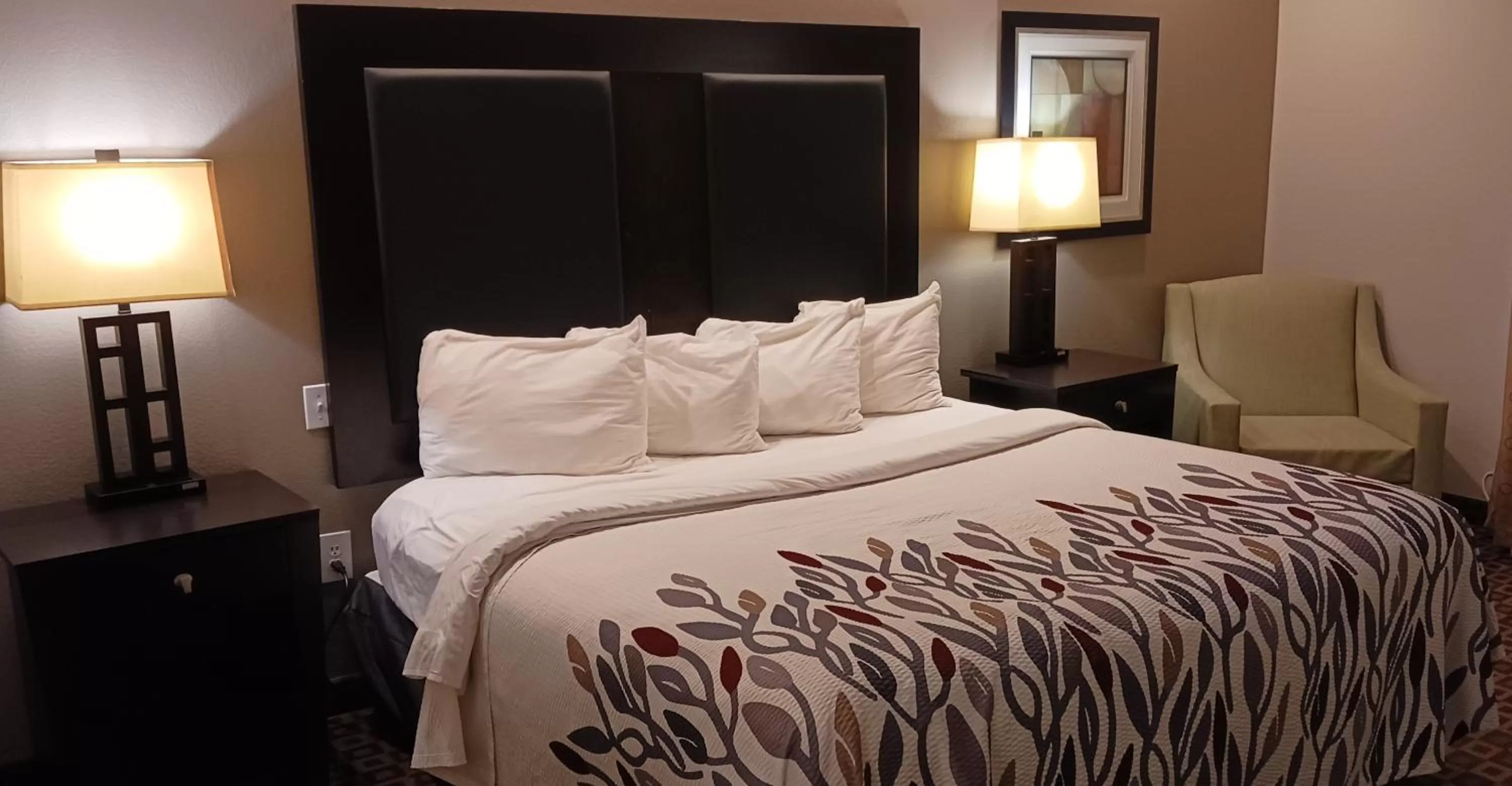 Superior King Room Disability Access Non-Smoking in Red Roof Inn & Suites Longview
