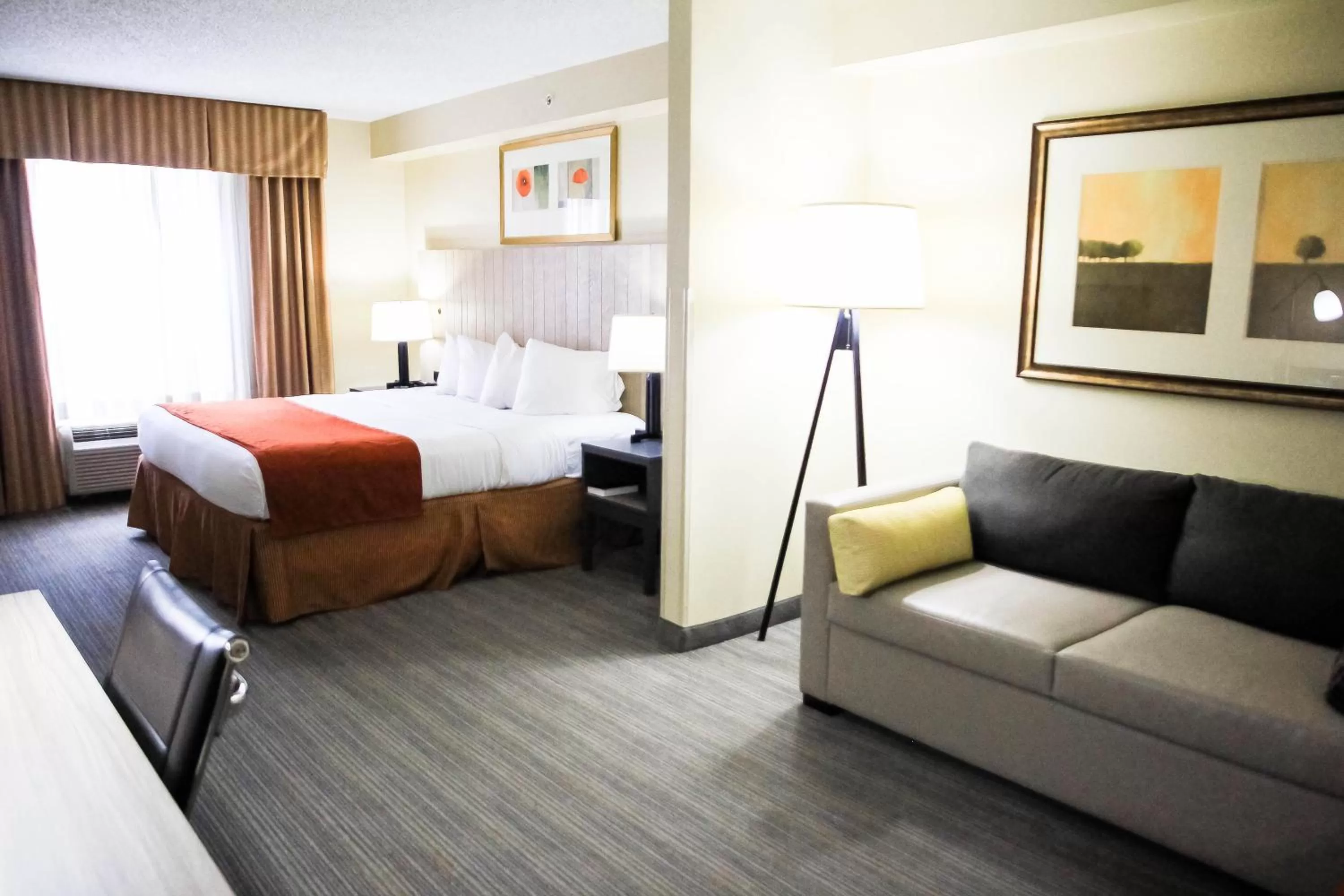 King Studio Suite - Disability Access/Non-Smoking in Country Inn & Suites by Radisson, Chester, VA