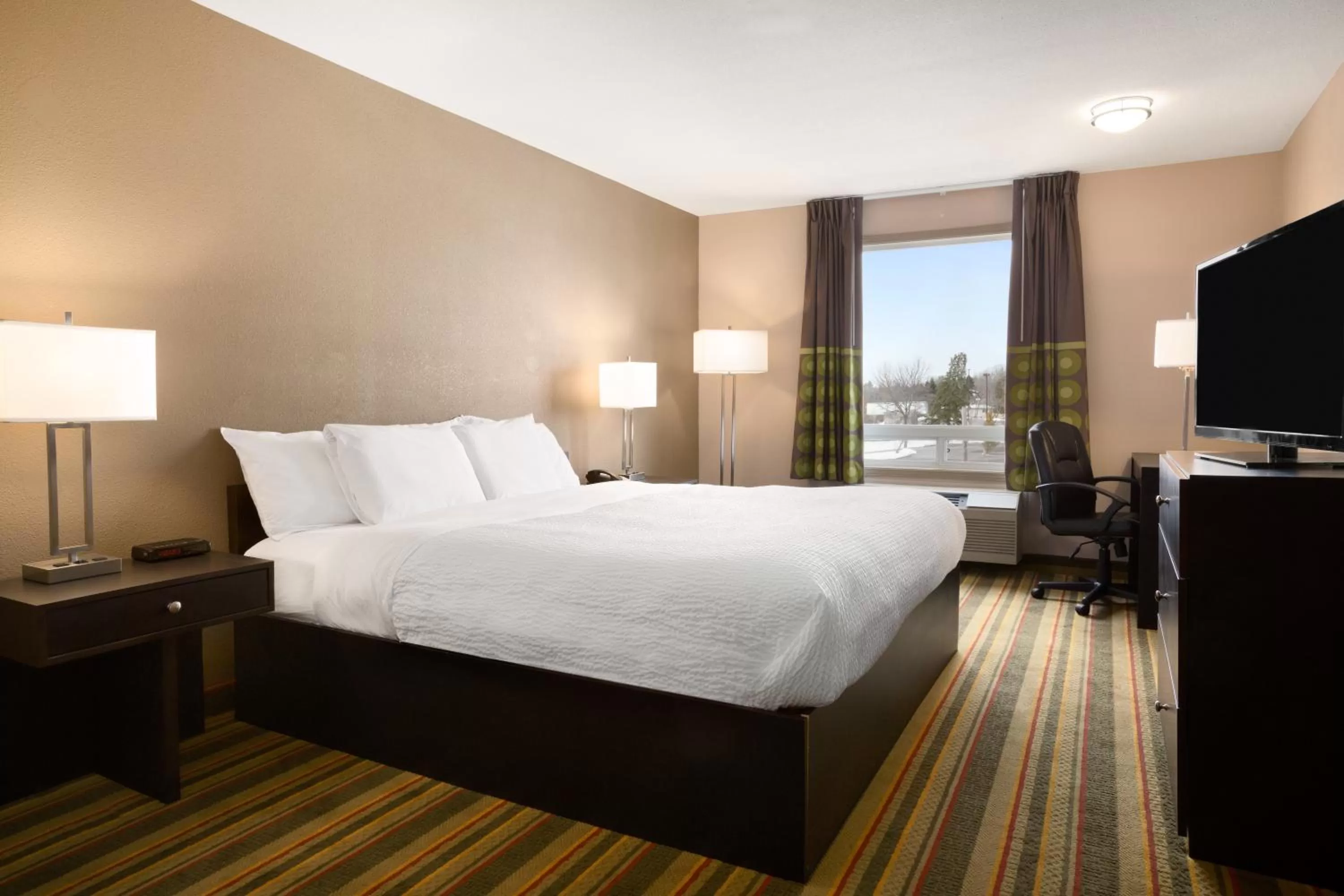 Studio Queen Suite - Non-Smoking in Spark By Hilton Woodstock