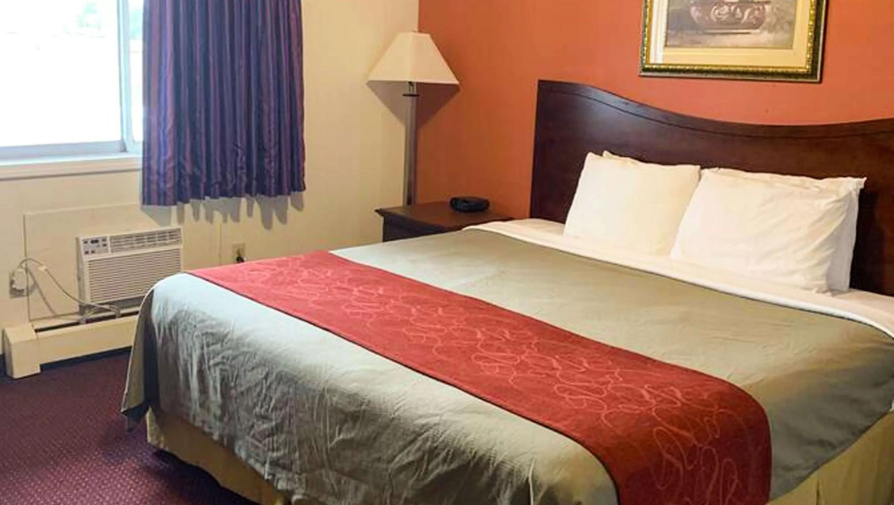 King Room in Rodeway Inn