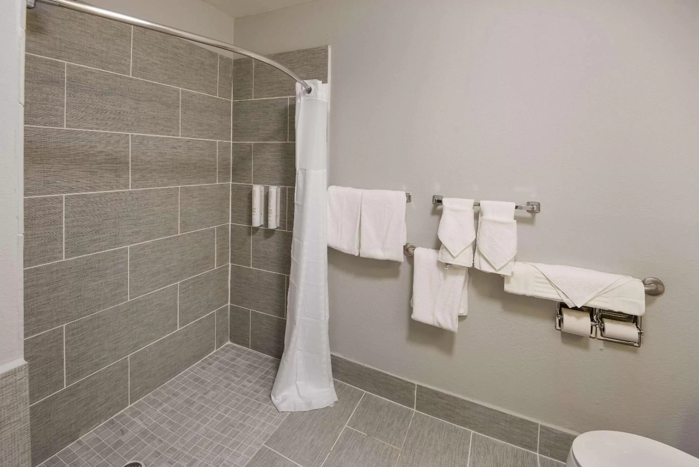 King Room with Roll-In Shower - Disability Access in Clarion Pointe Indianapolis Northeast