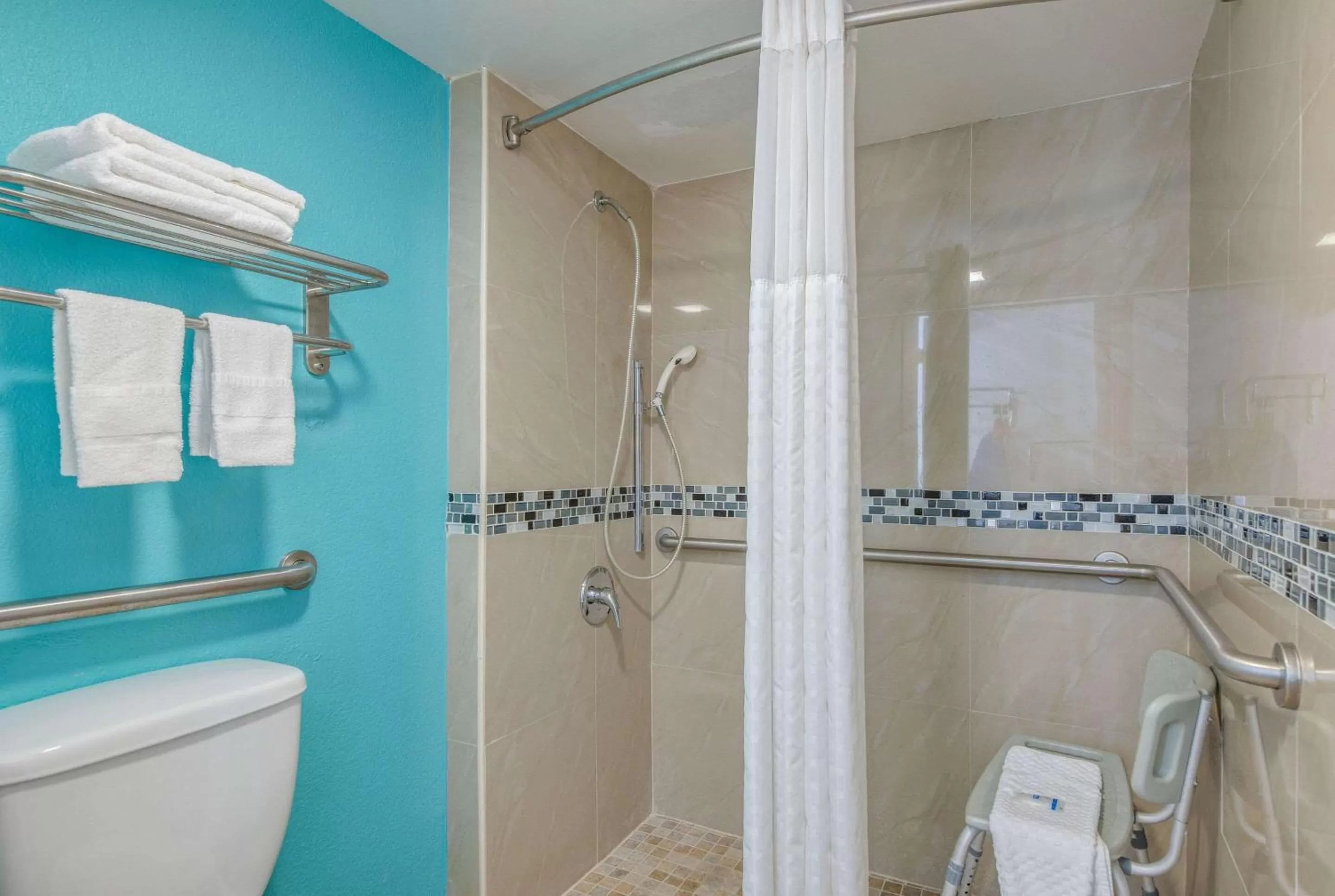 King Room - Accessible/Non-Smoking in Rodeway Inn Port Richey North