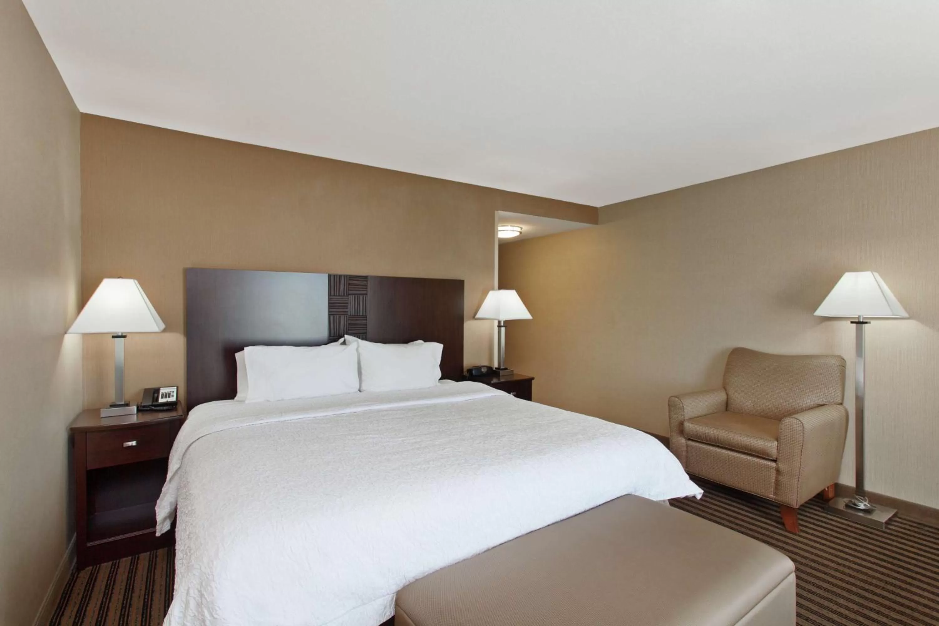 King Room with Accessible Tub - Mobility and Hearing Access/Non-Smoking in Hampton Inn & Suites Fresno - Northwest