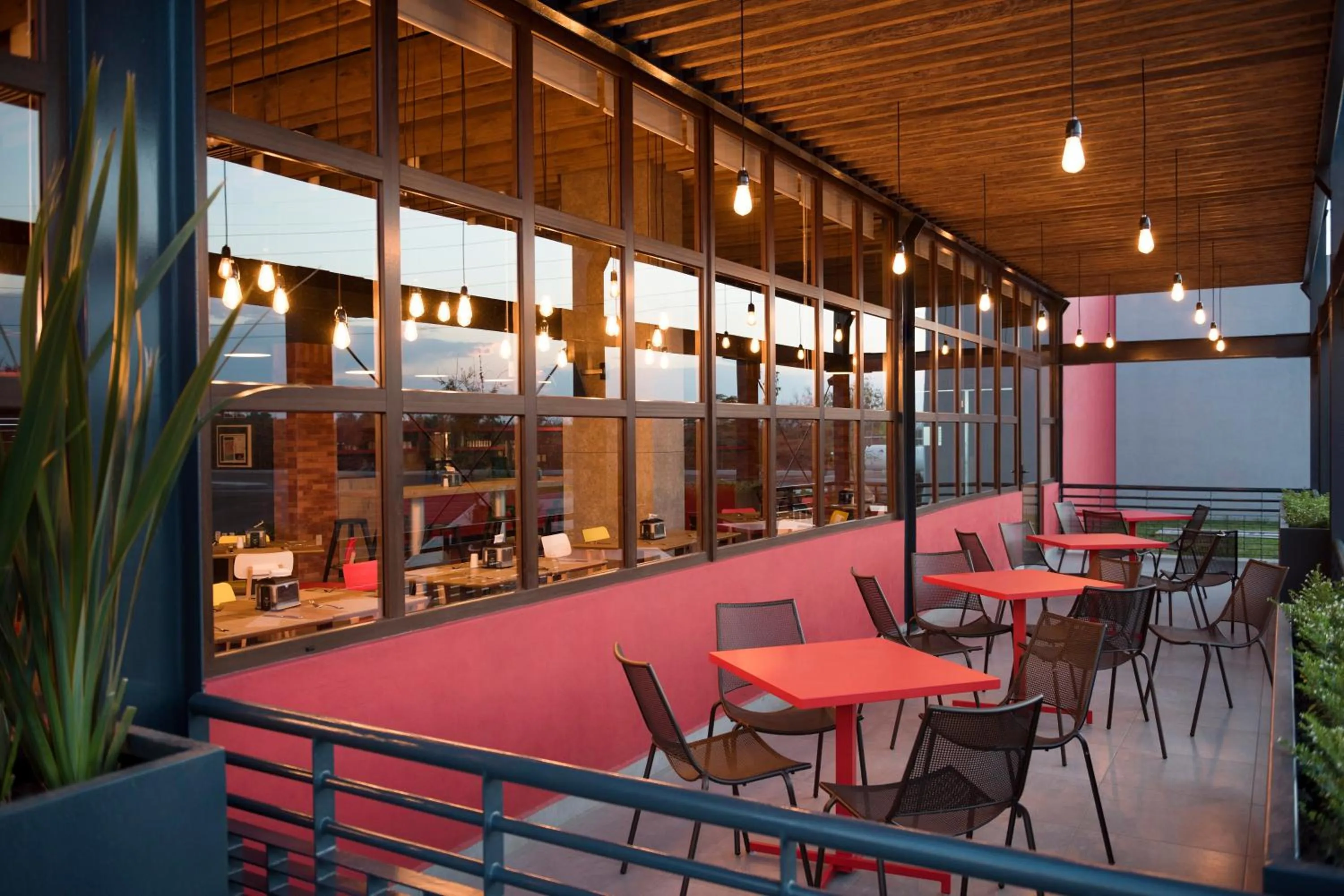 Ibis Irapuato
