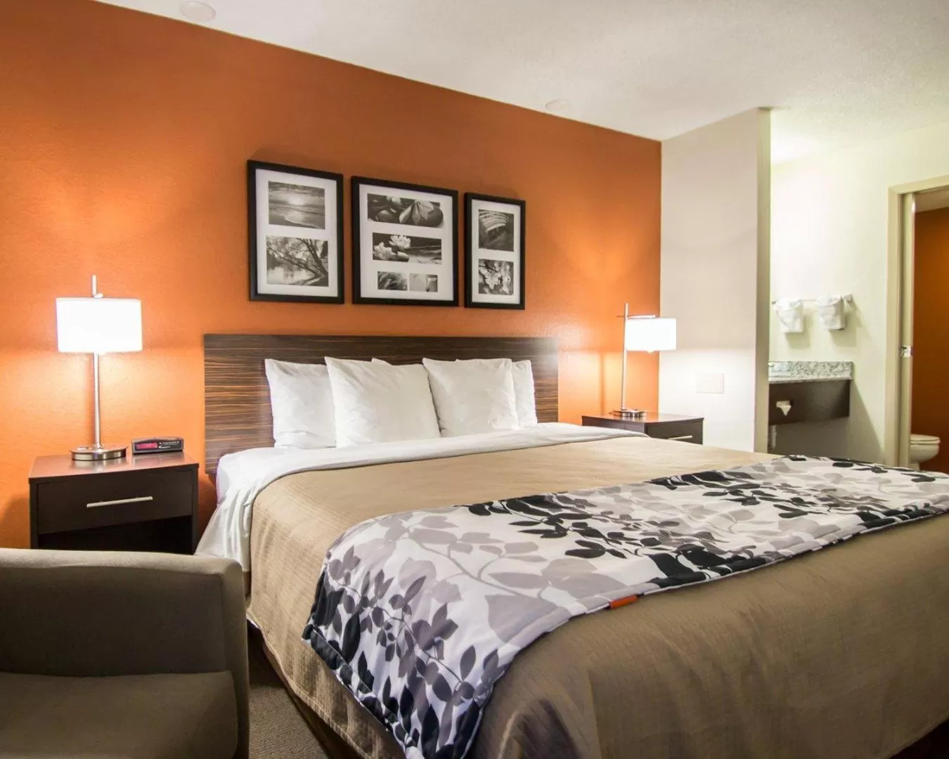 Queen Room - Disability Access/Non-Smoking in Sleep Inn Ormond Beach - Daytona