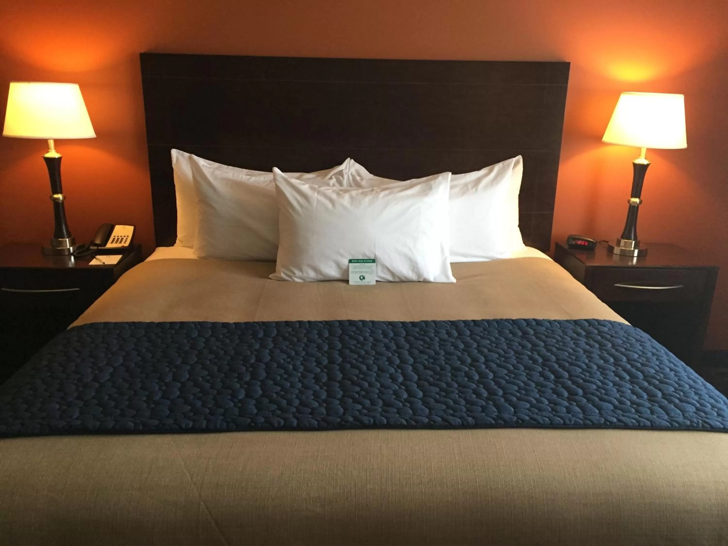 King Room in Grandstay Hotel & Suites Mount Horeb - Madison