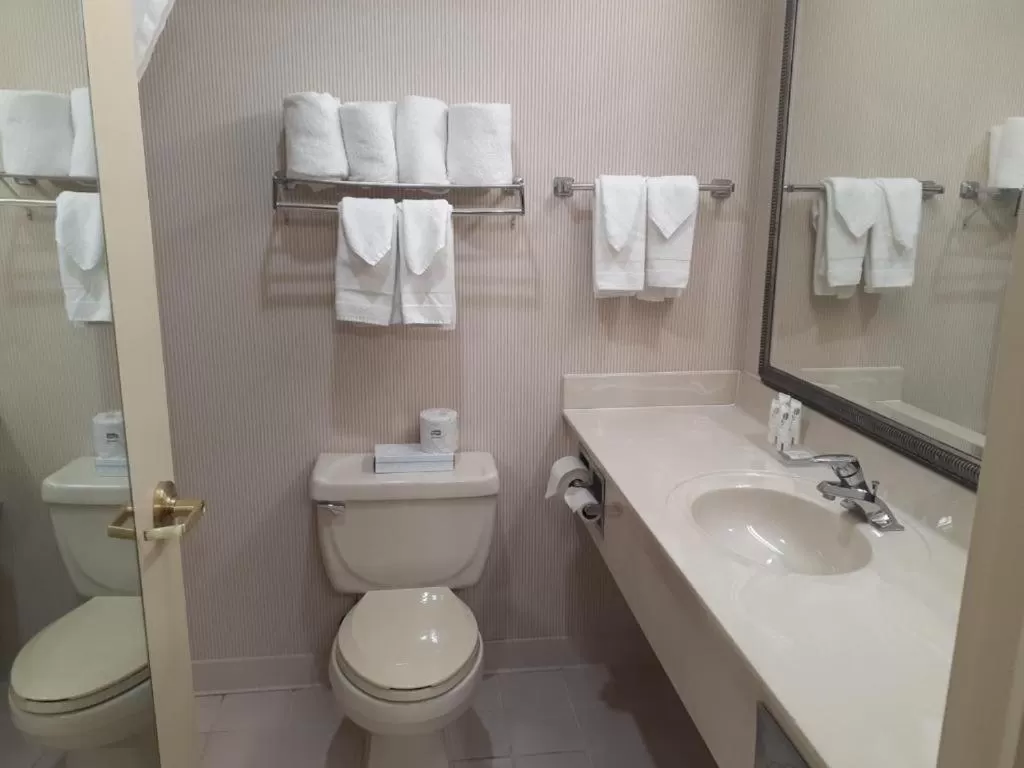Queen Room with Two Queen Beds and Roll-In Shower - Non-Smoking in Country Inn & Suites by Radisson, Freeport, IL