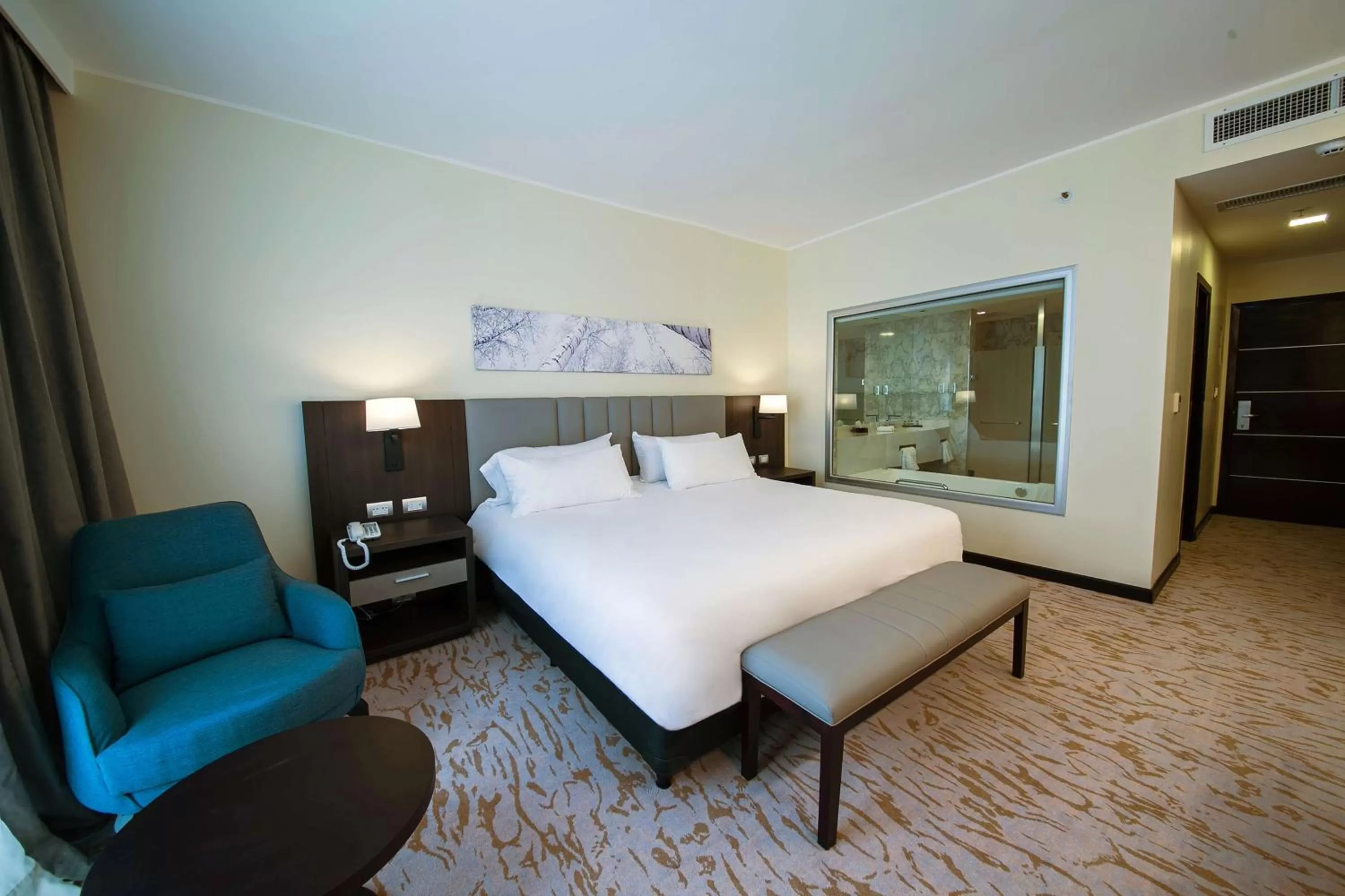 King Room in Hilton Garden Inn Santiago Del Estero - HILTON HOTELS