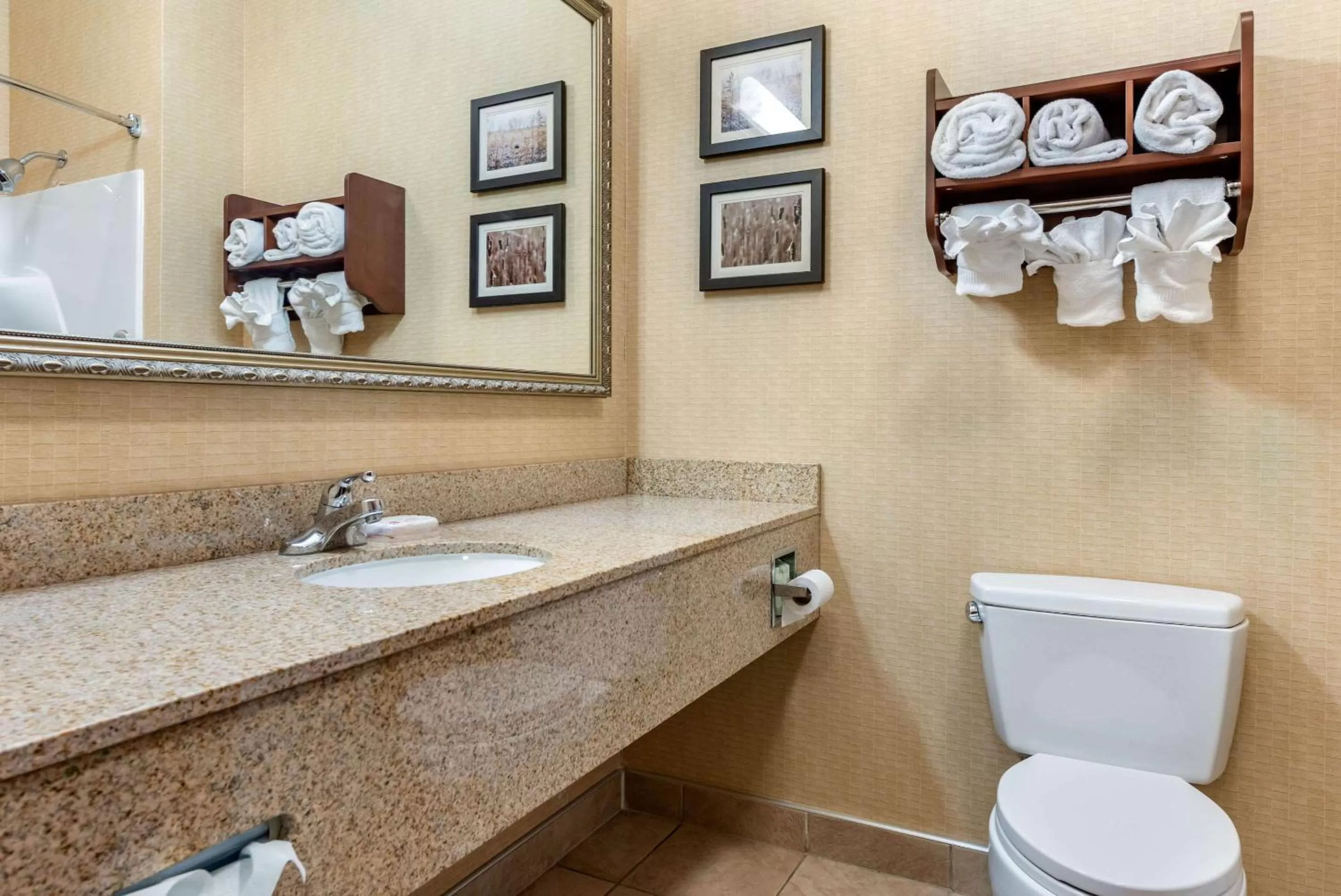 King Room - Non-Smoking in Comfort Suites Elkhart South