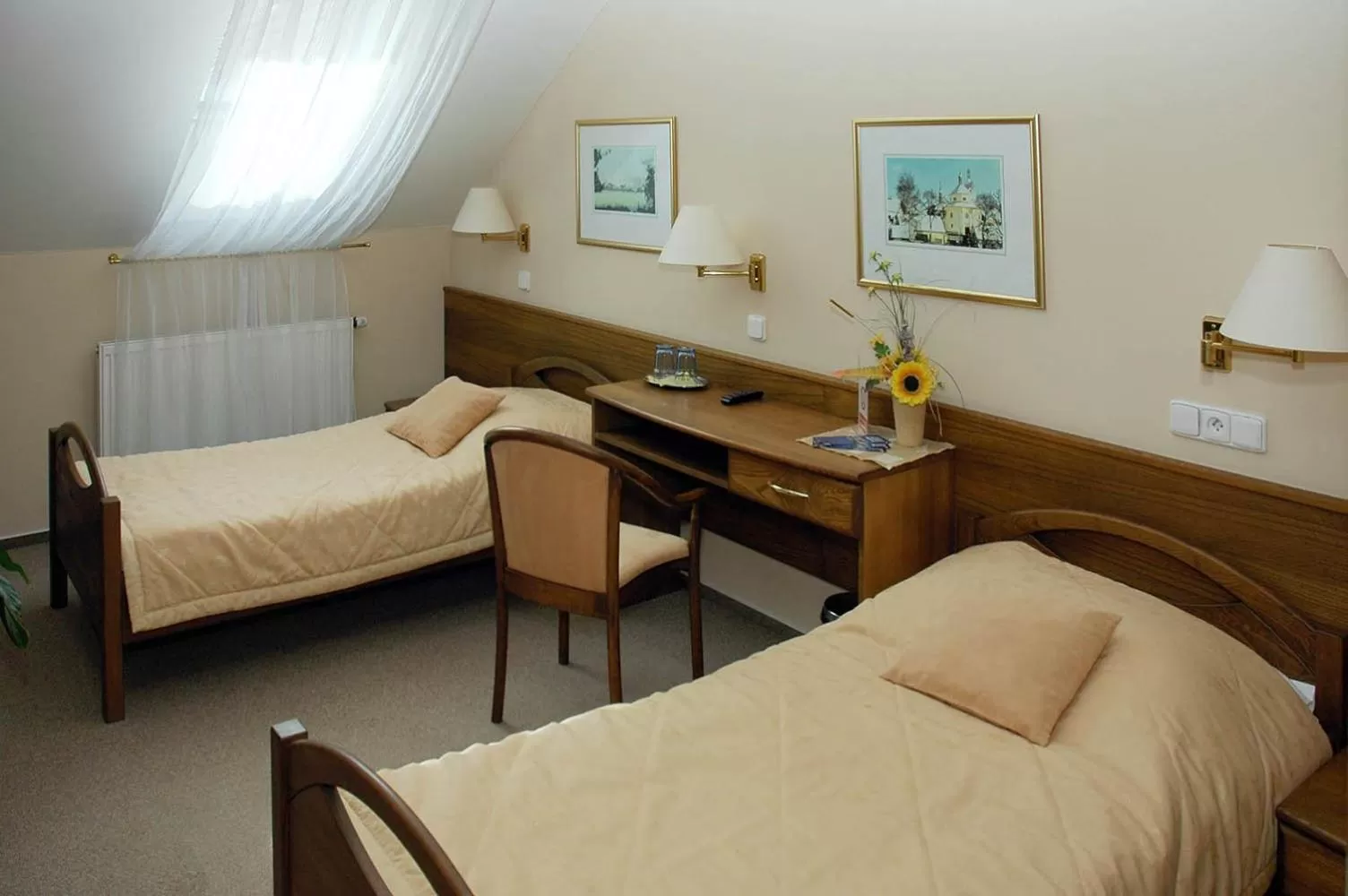 Double or Twin Room - single occupancy in Hotel Restaurant Modrá Hvězda