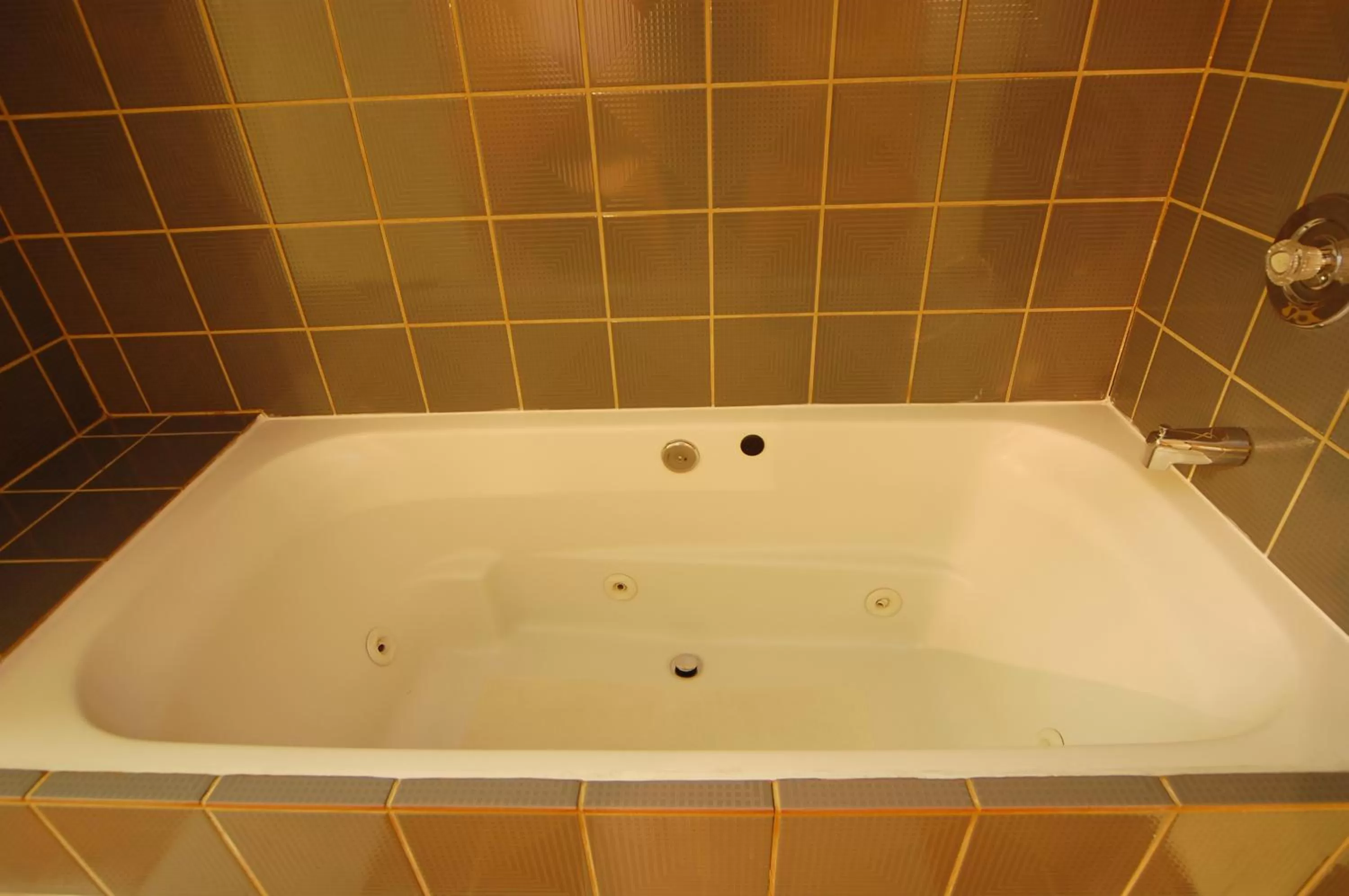 Deluxe King Studio Suite - Non-Smoking in Days Inn by Wyndham Bishop