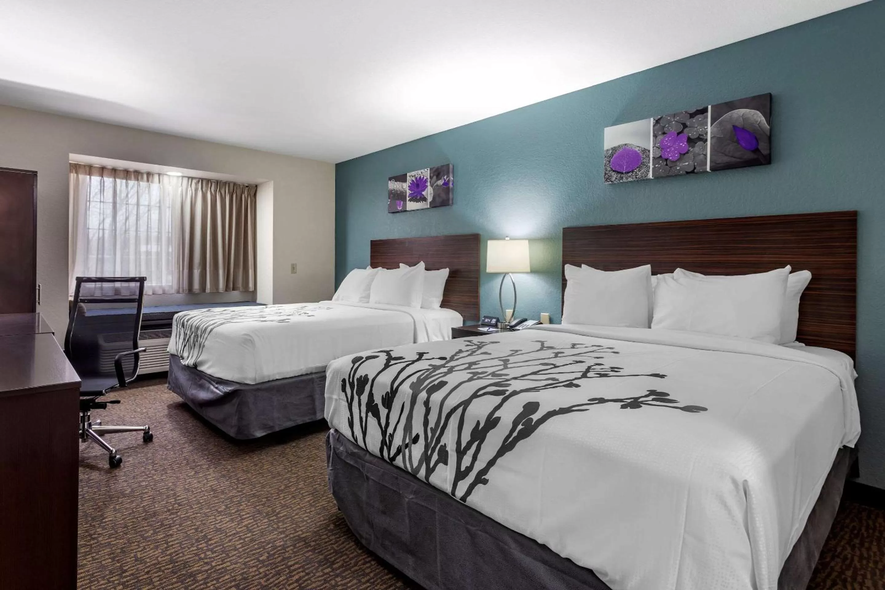 Queen Room with Two Queen Beds - Accessible/Non-Smoking  in Sleep Inn St Robert-Fort Leonard Wood