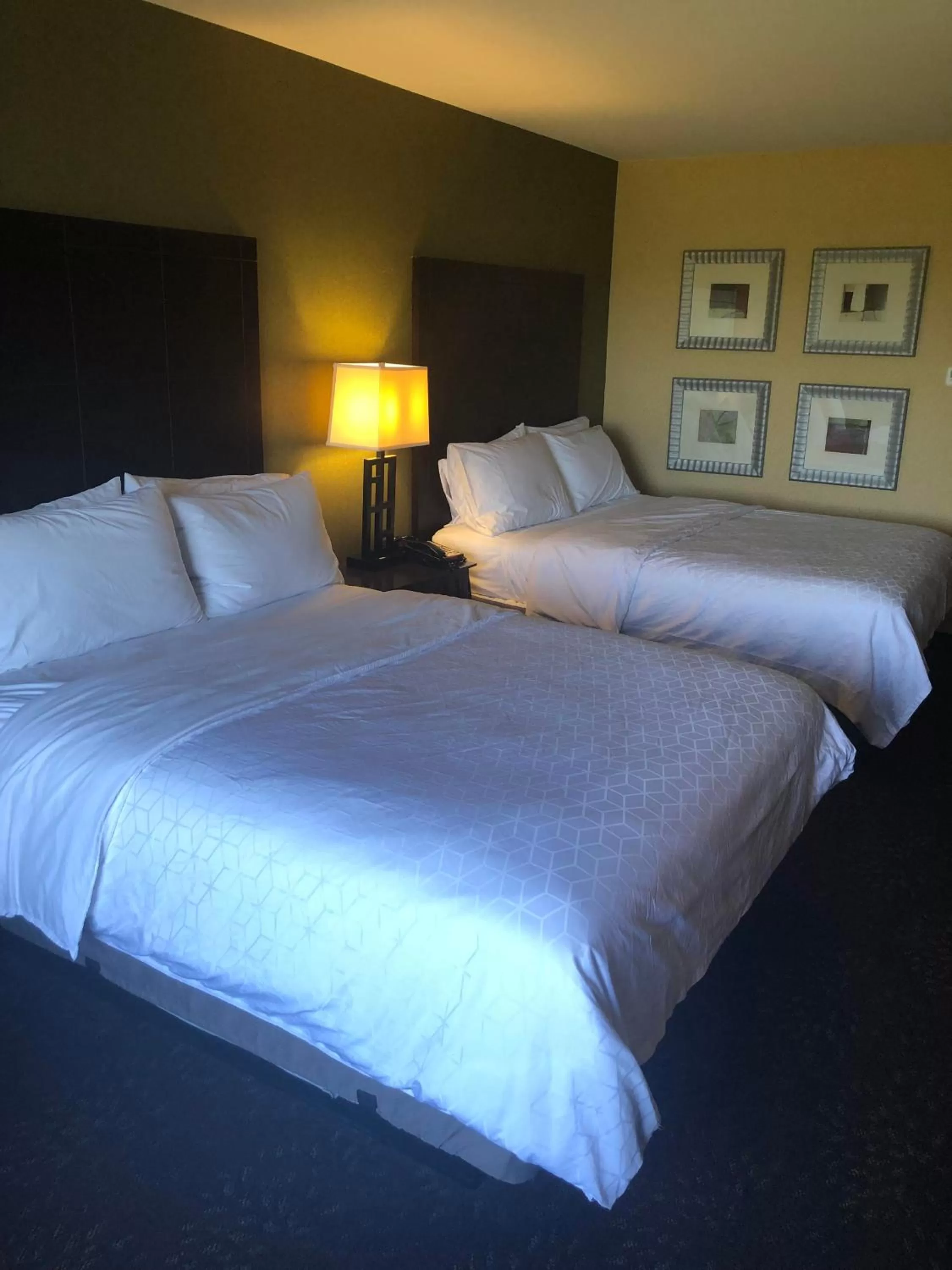 Queen Suite with Two Queen Beds in Holiday Inn Express Hotel & Suites Lansing-Dimondale by IHG