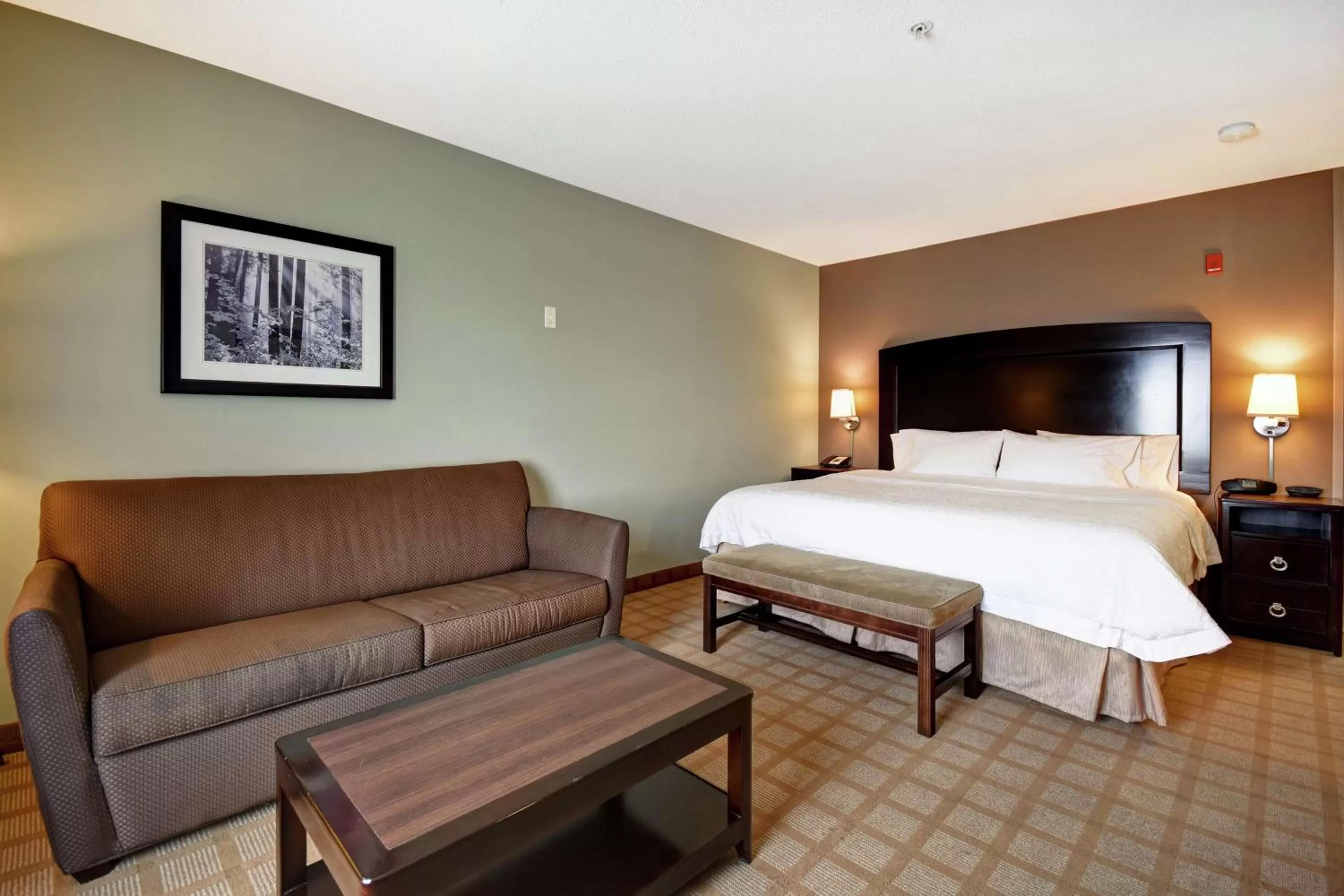 King Room with Sofa Bed and Study - Non-Smoking in Hampton Inn & Suites Detroit-Canton