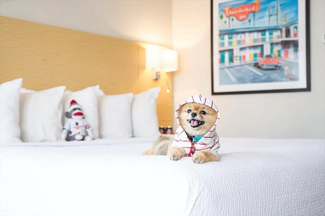 Pets, Bed in The Thunderbird Inn