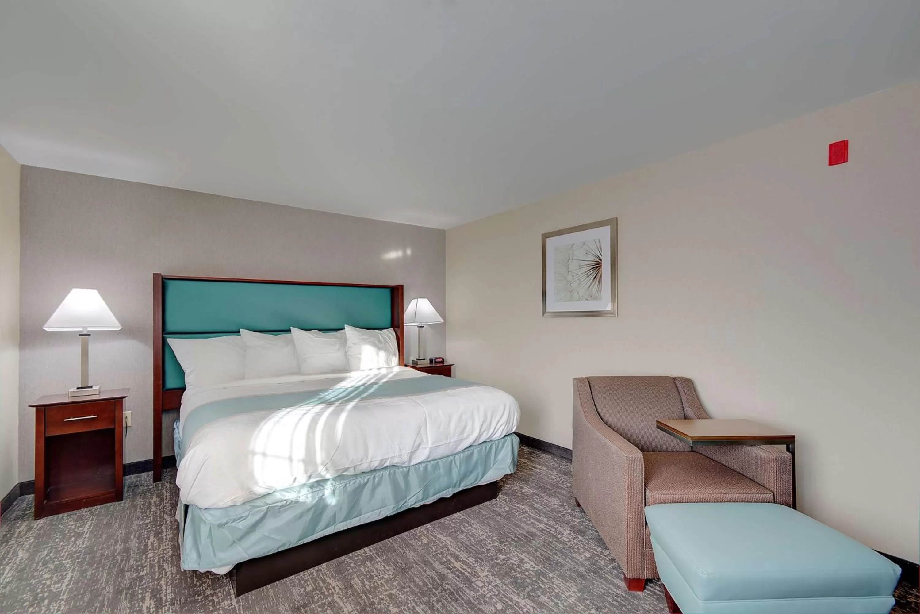 One-Bedroom King Suite with Sofa Bed in Best Western Hampshire Inn & Suites