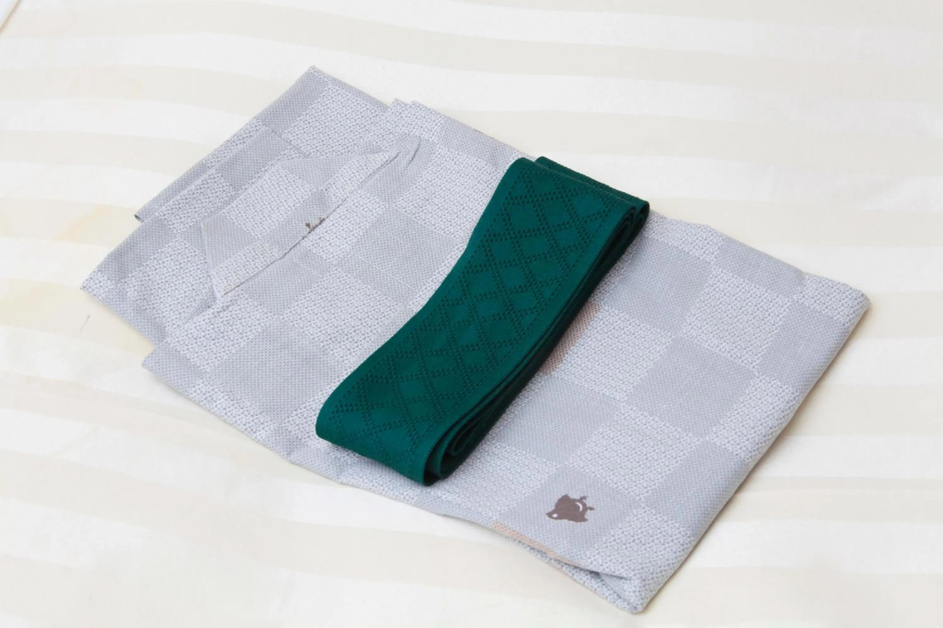 Deluxe Single Room - Smoking in Fuji Green Hotel