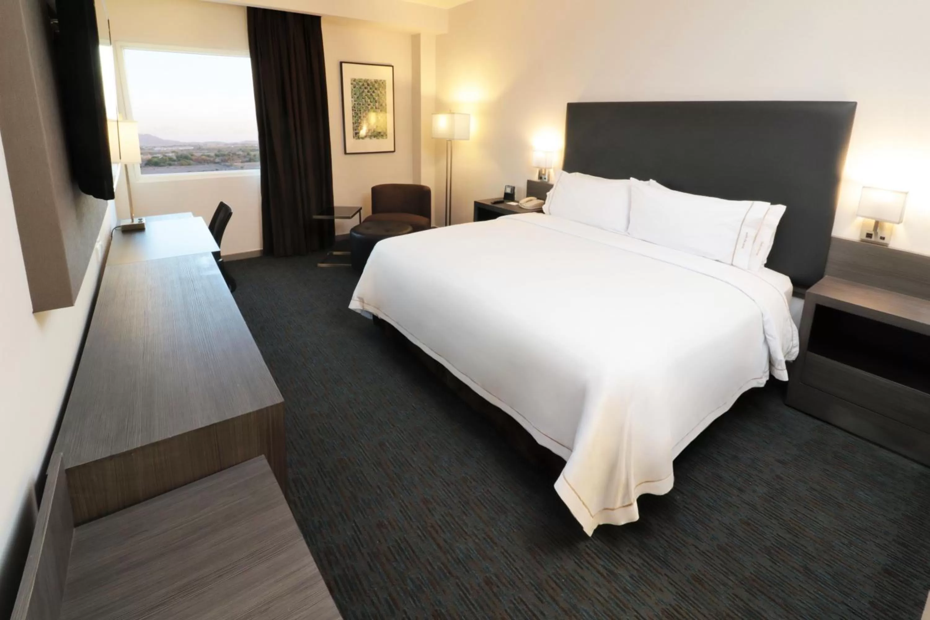 Standard King Room in Holiday Inn Express Hotel & Suites Hermosillo by IHG