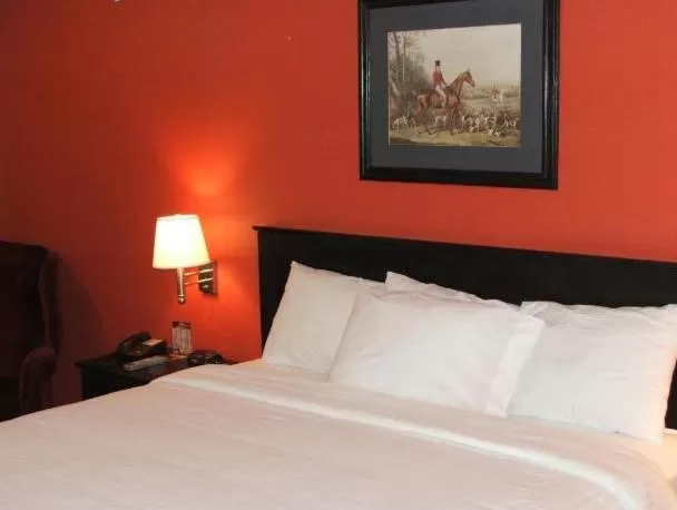 King Room - Non-Smoking in Americas Best Value Inn Waco - Franklin Avenue