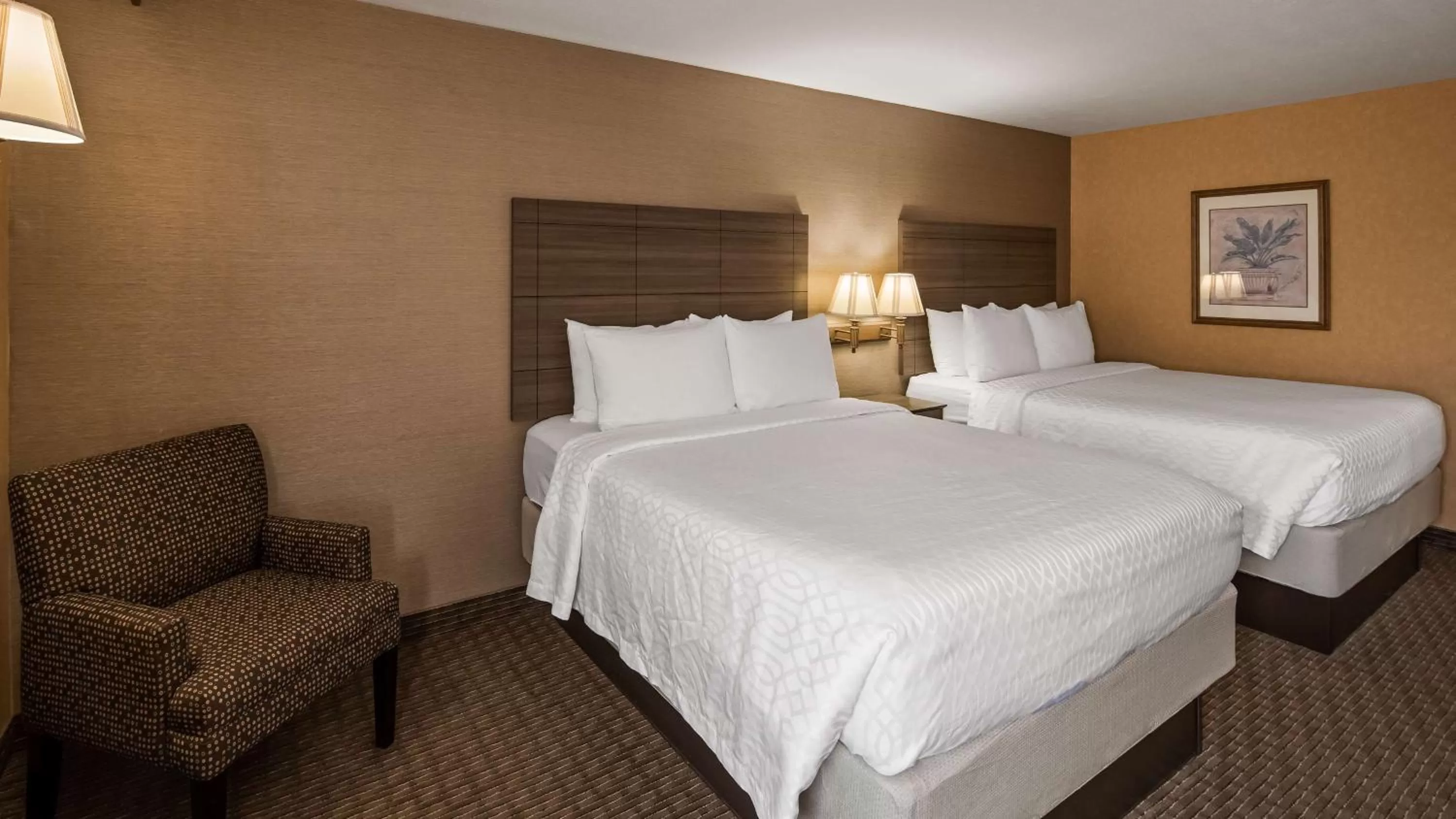 Queen Room with Two Queen Beds - Non-Smoking in Best Western Plus North Canton Inn & Suites