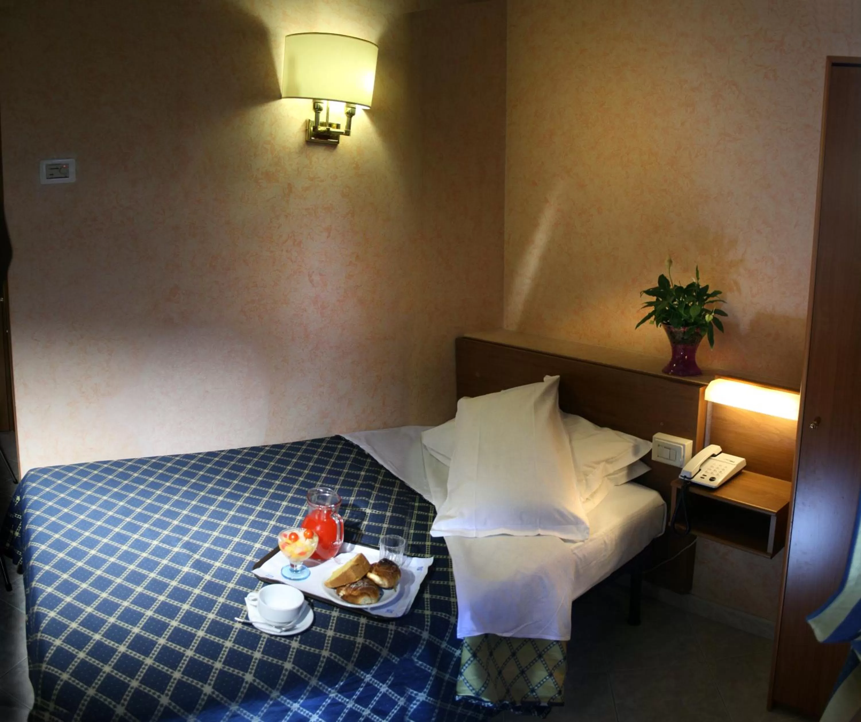 Superior Single Room in Hotel Delle Muse