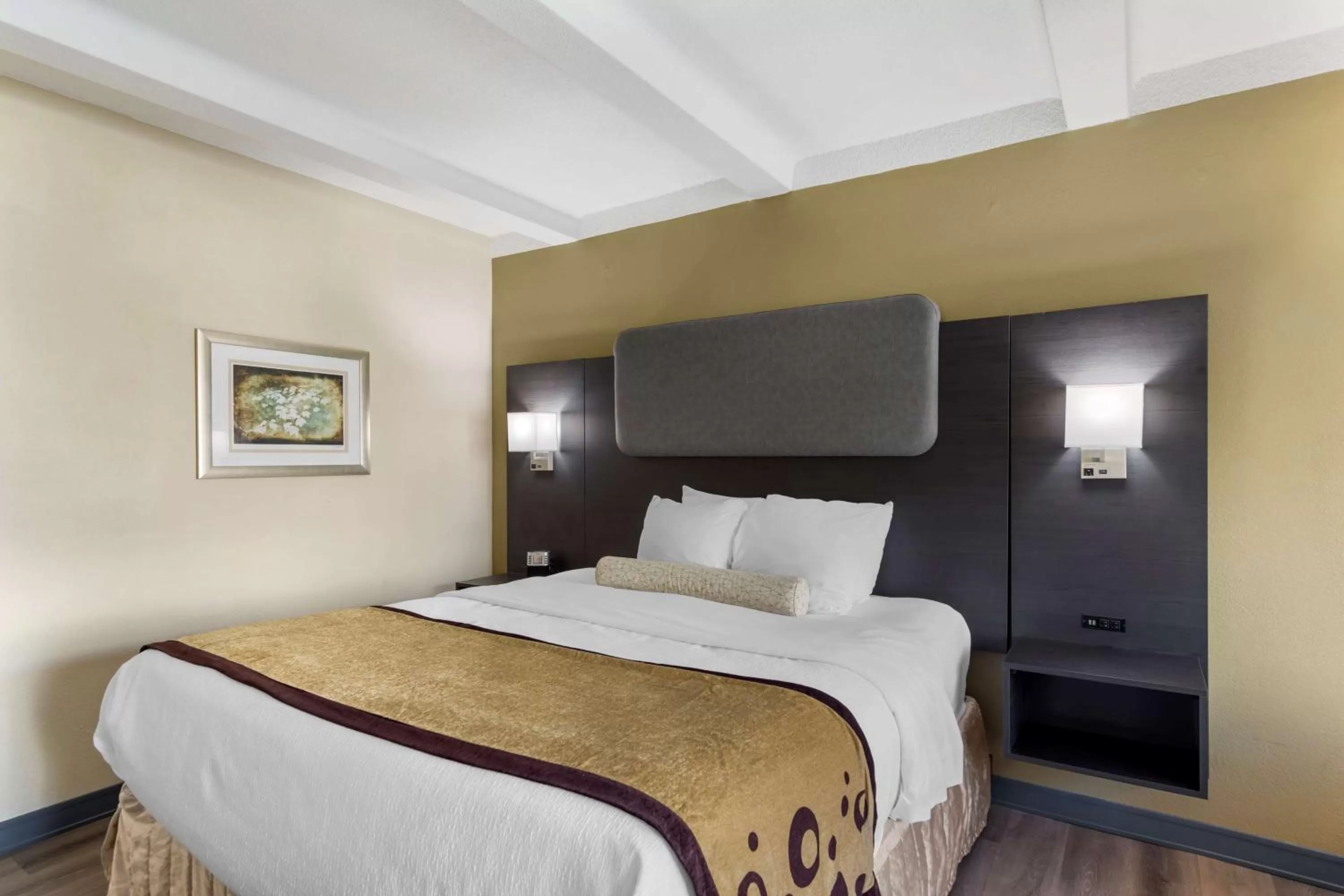 King Room with Exterior Entrance - Non-smoking in Best Western Plus Madison-Huntsville Hotel