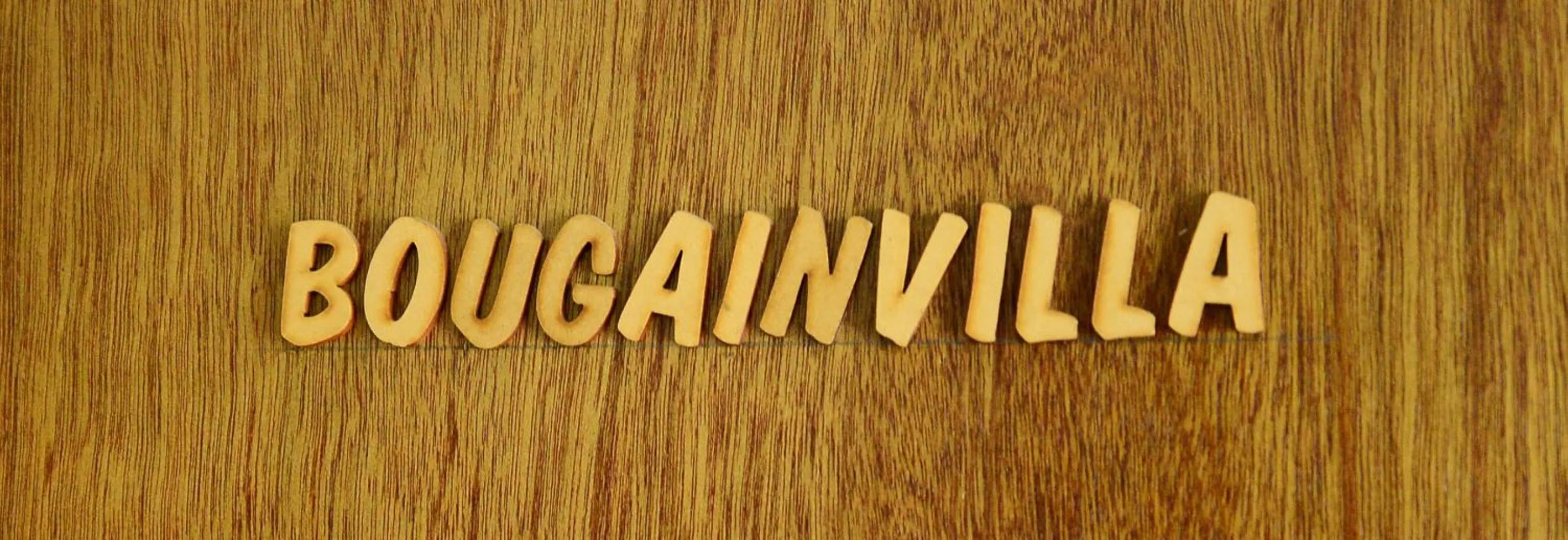 Bougainvilla Business Suite - single occupancy in De Wingerd Wijnland Lodge