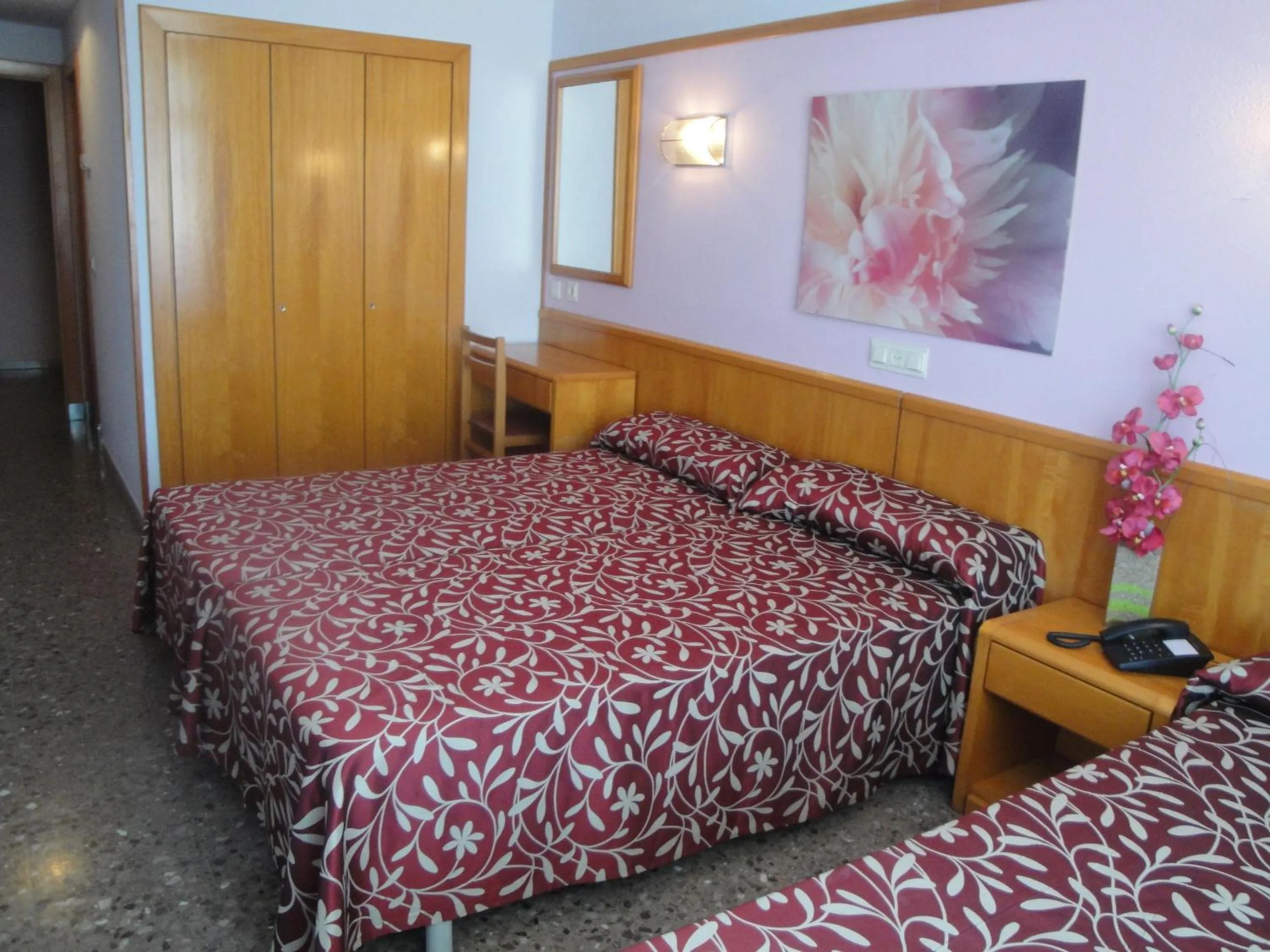 Twin Room with Balcony in Hotel Esplendid