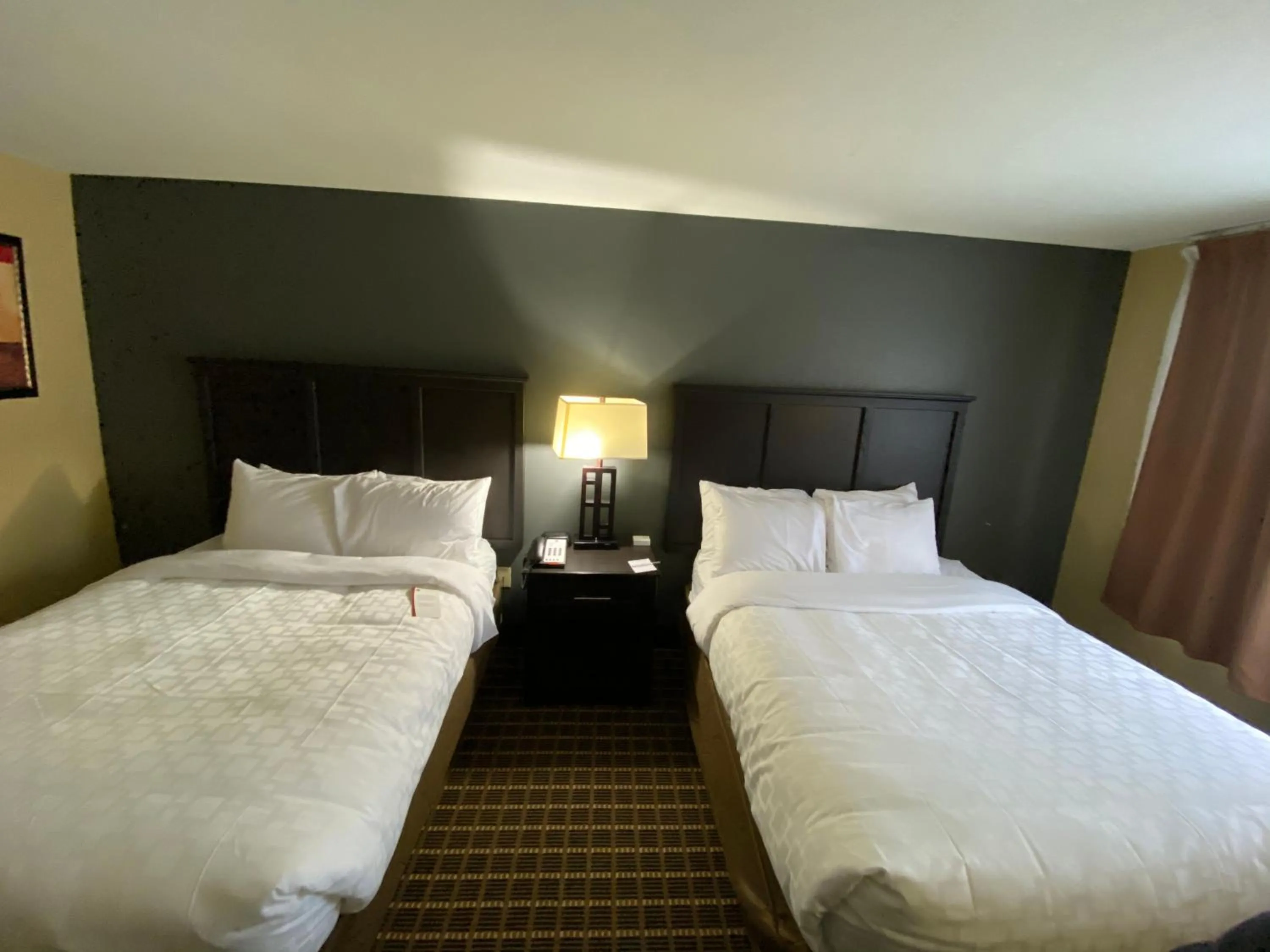 Queen Room with Two Queen Beds - Non-Smoking in Clarion Inn & Suites
