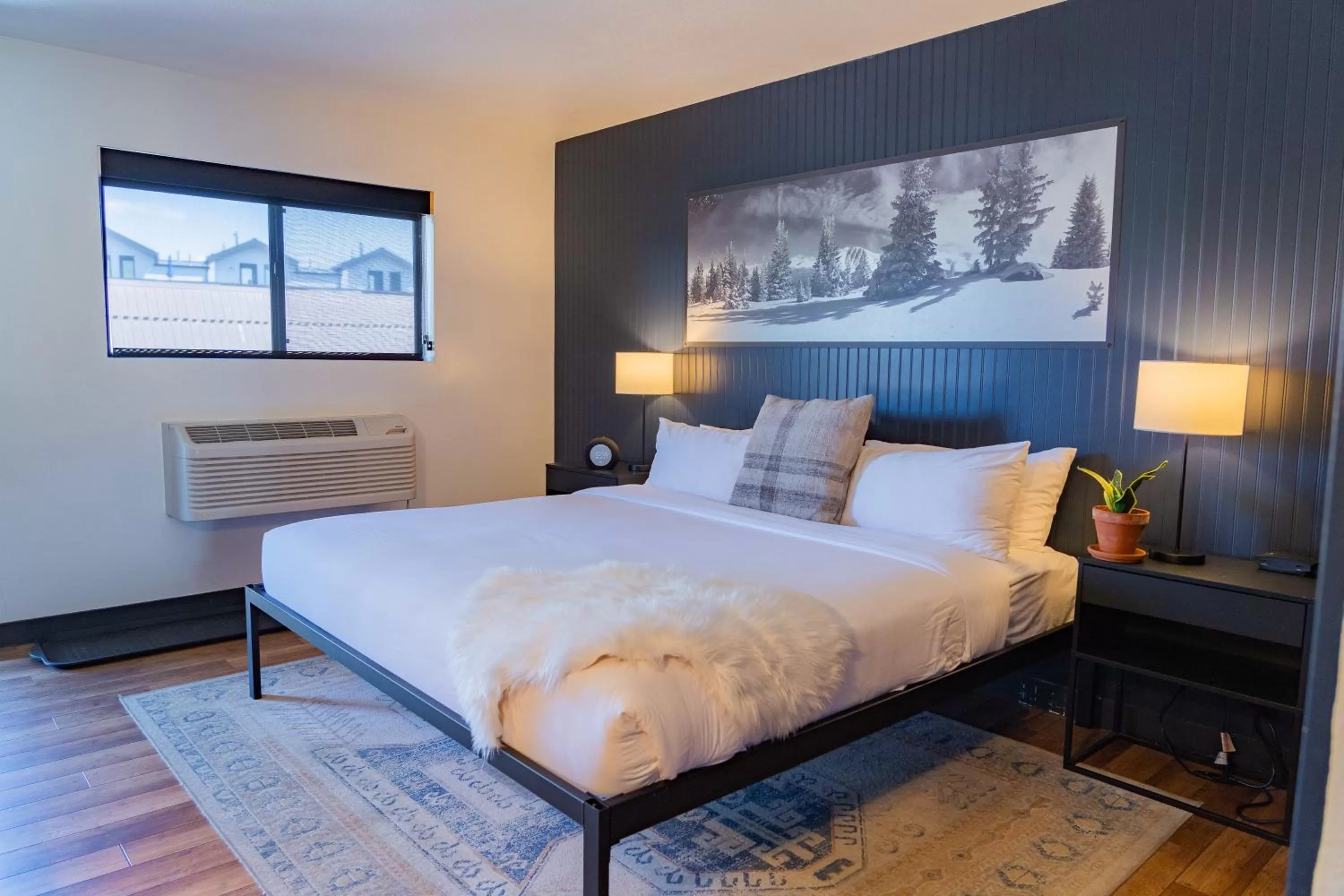 Double Room - single occupancy in Gravity Haus Winter Park