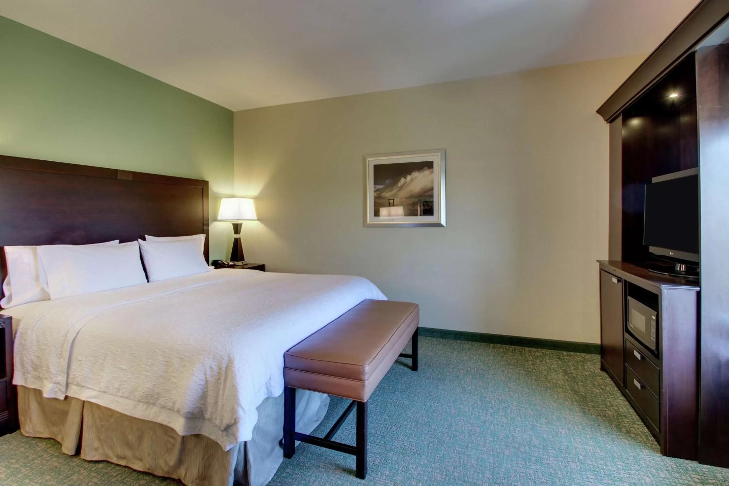 King Room with Accessible Tub - Mobility and Hearing Access/Non-Smoking in Hampton Inn Vernon