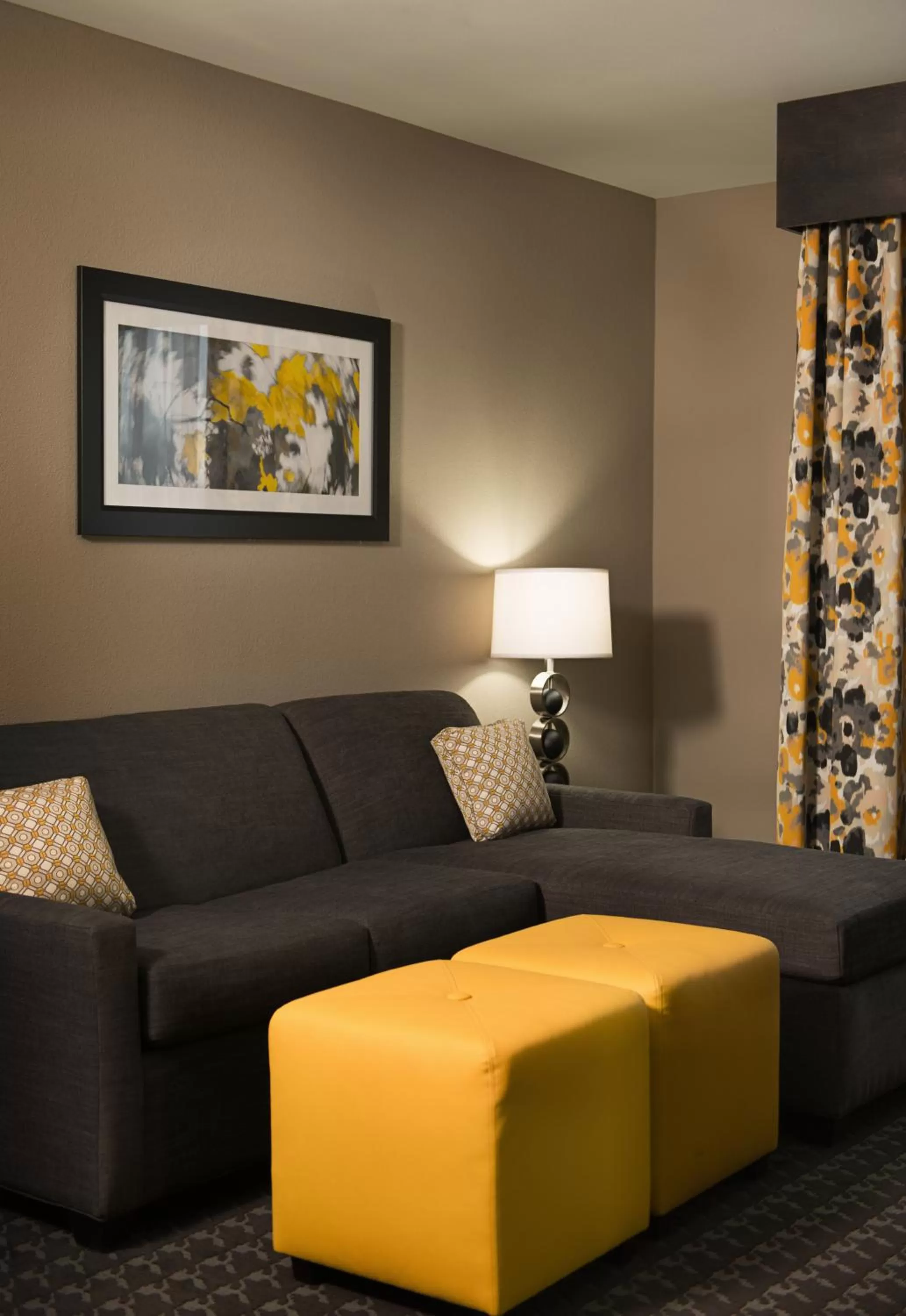 Deluxe Suite - Hearing Disability Access- Non-Smoking in Holiday Inn Express and Suites Madison Central by IHG