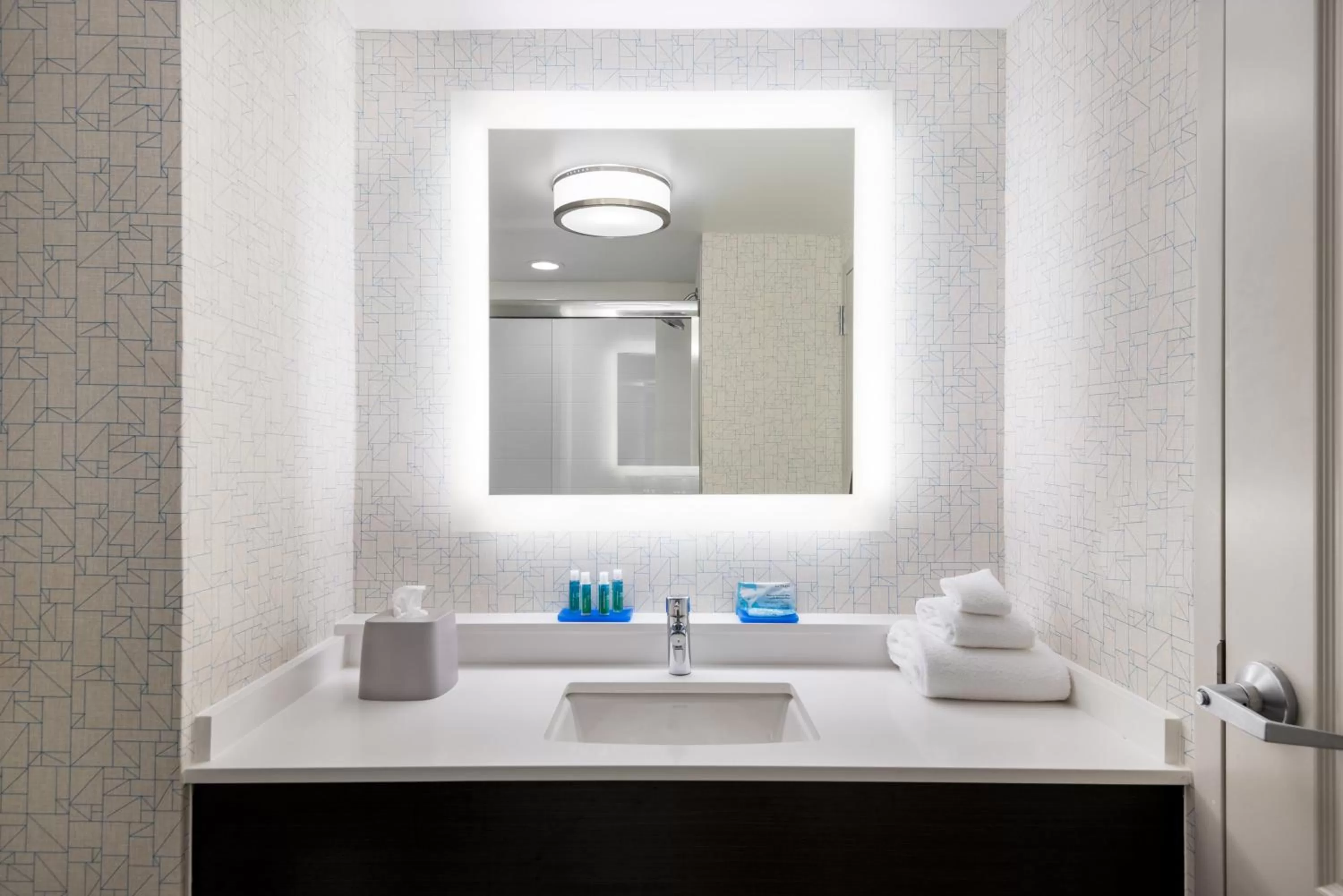 Executive King Suite - Non-Smoking in Holiday Inn Express & Suites Florence I-95 & I-20 Civic Ctr by IHG