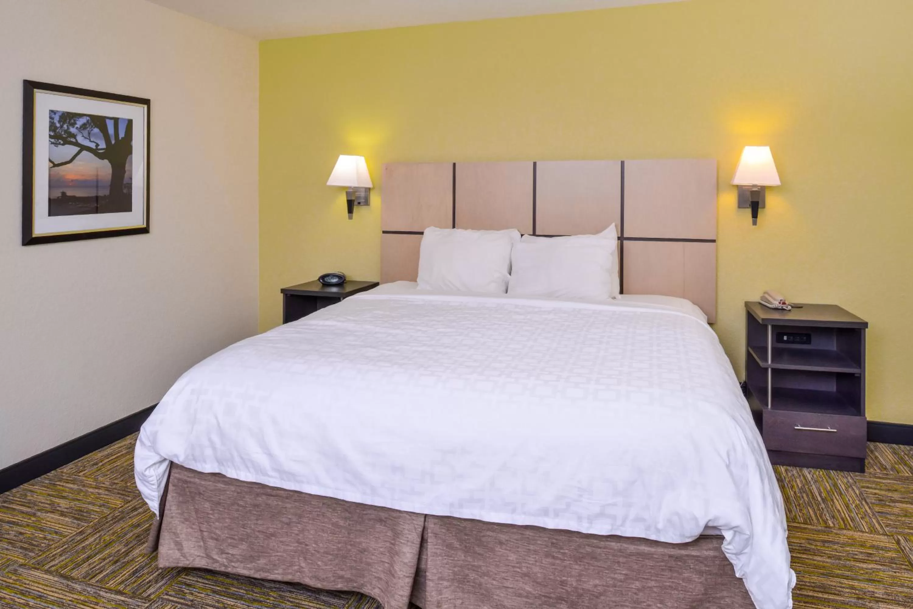 Studio Queen Suite in Candlewood Suites - Plano North by IHG
