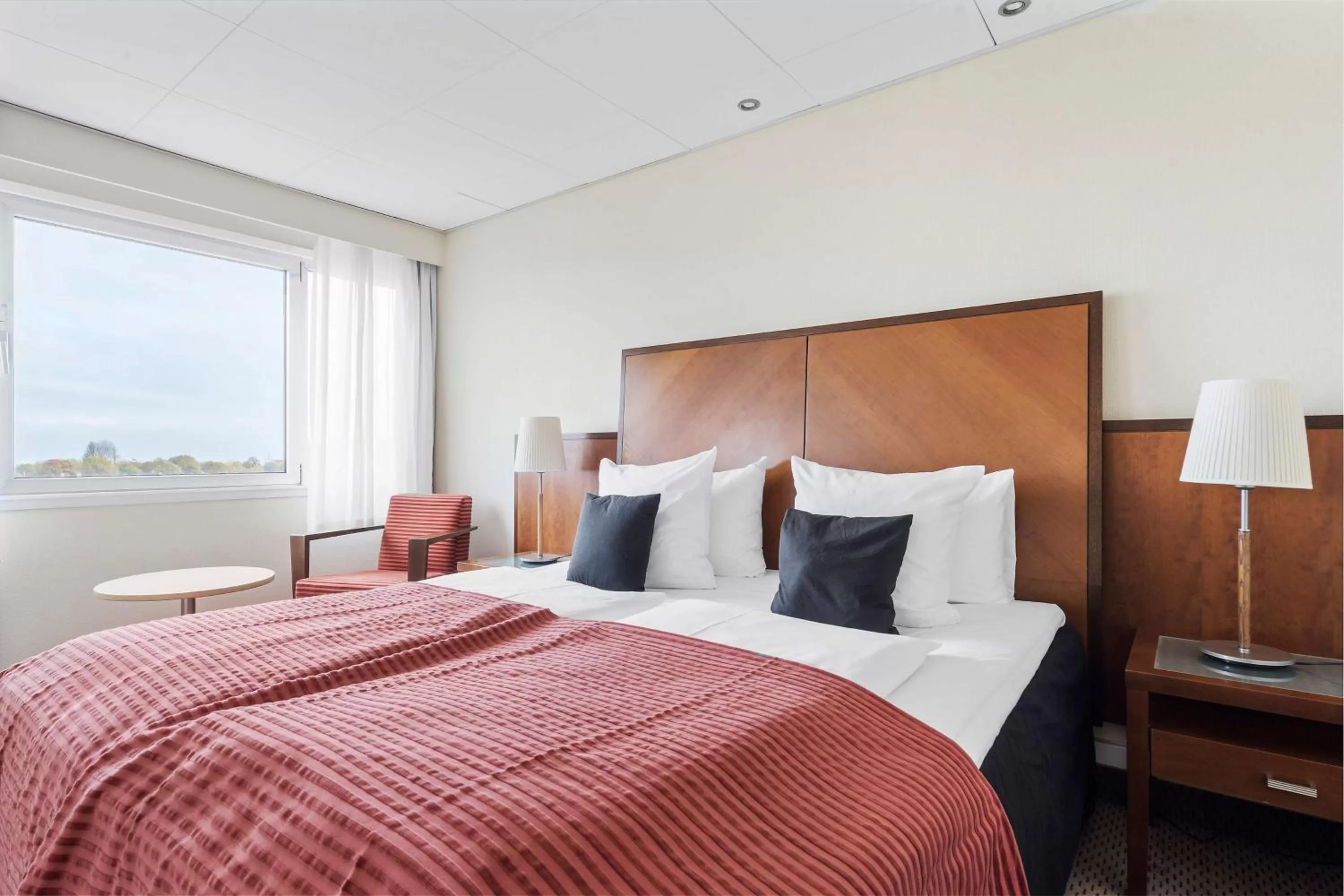 King Suite in Best Western Plus Airport Hotel