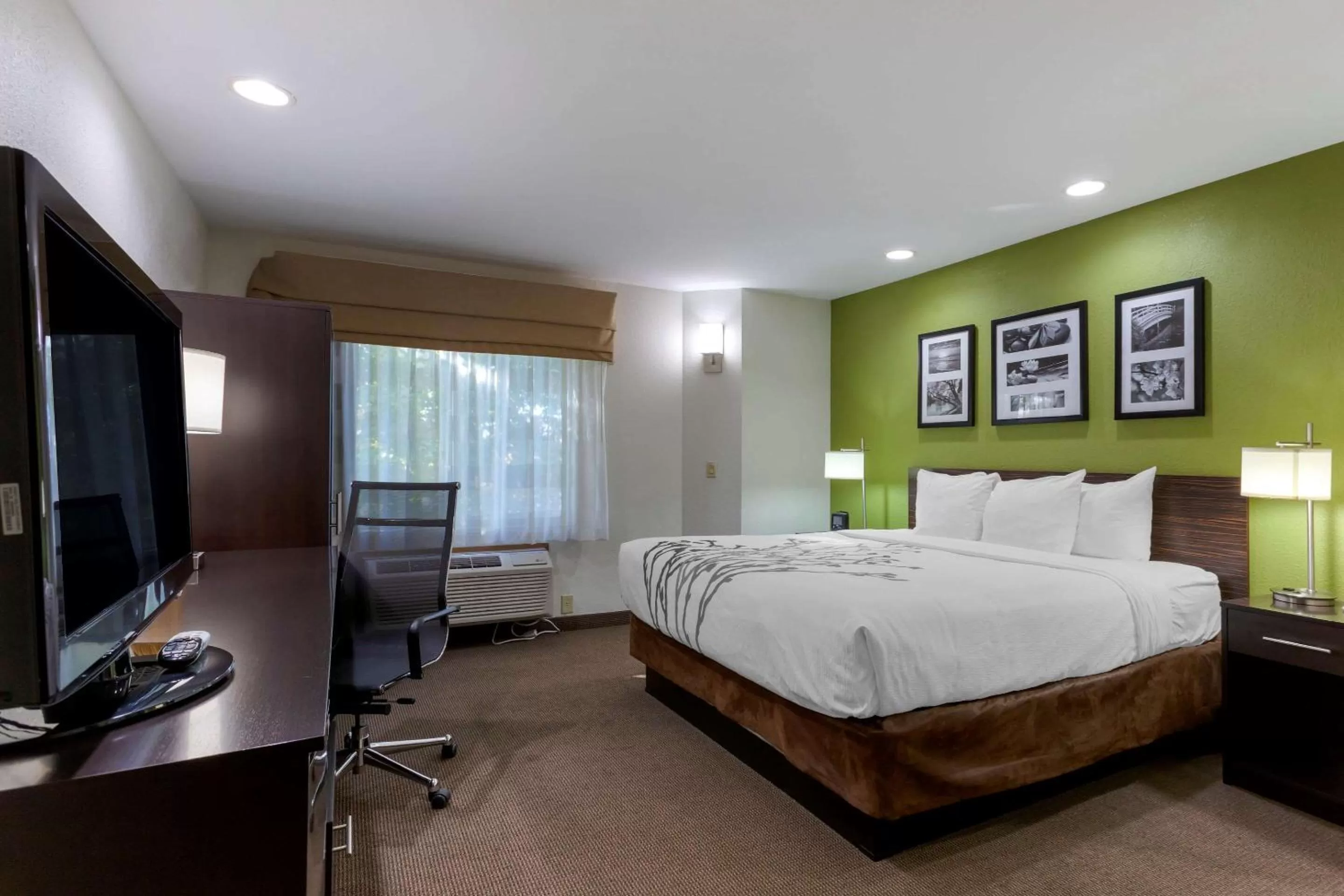 King Room - Non-Smoking in Sleep Inn Ontario