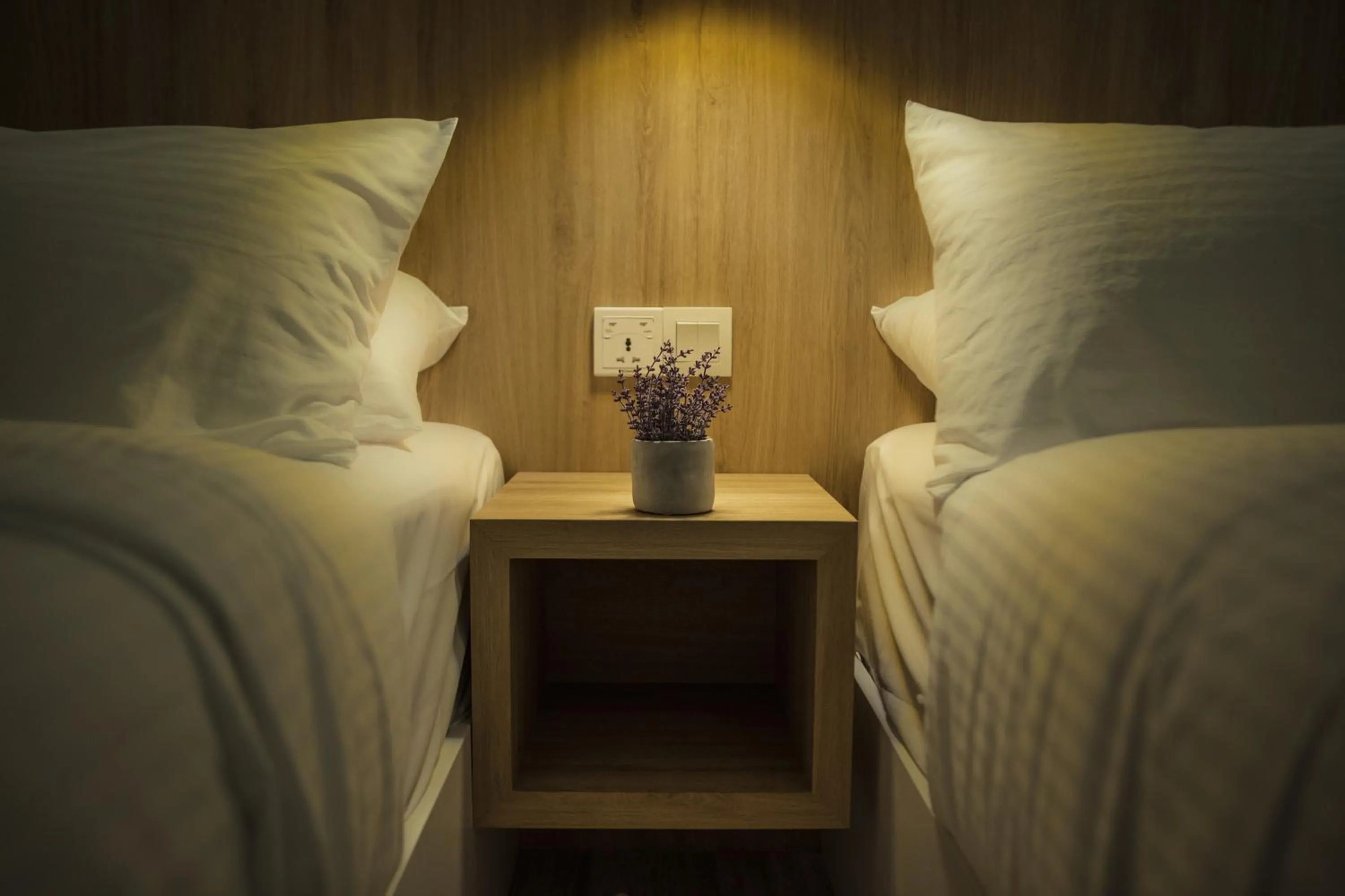 Deluxe Twin Room in The Marion Hotel