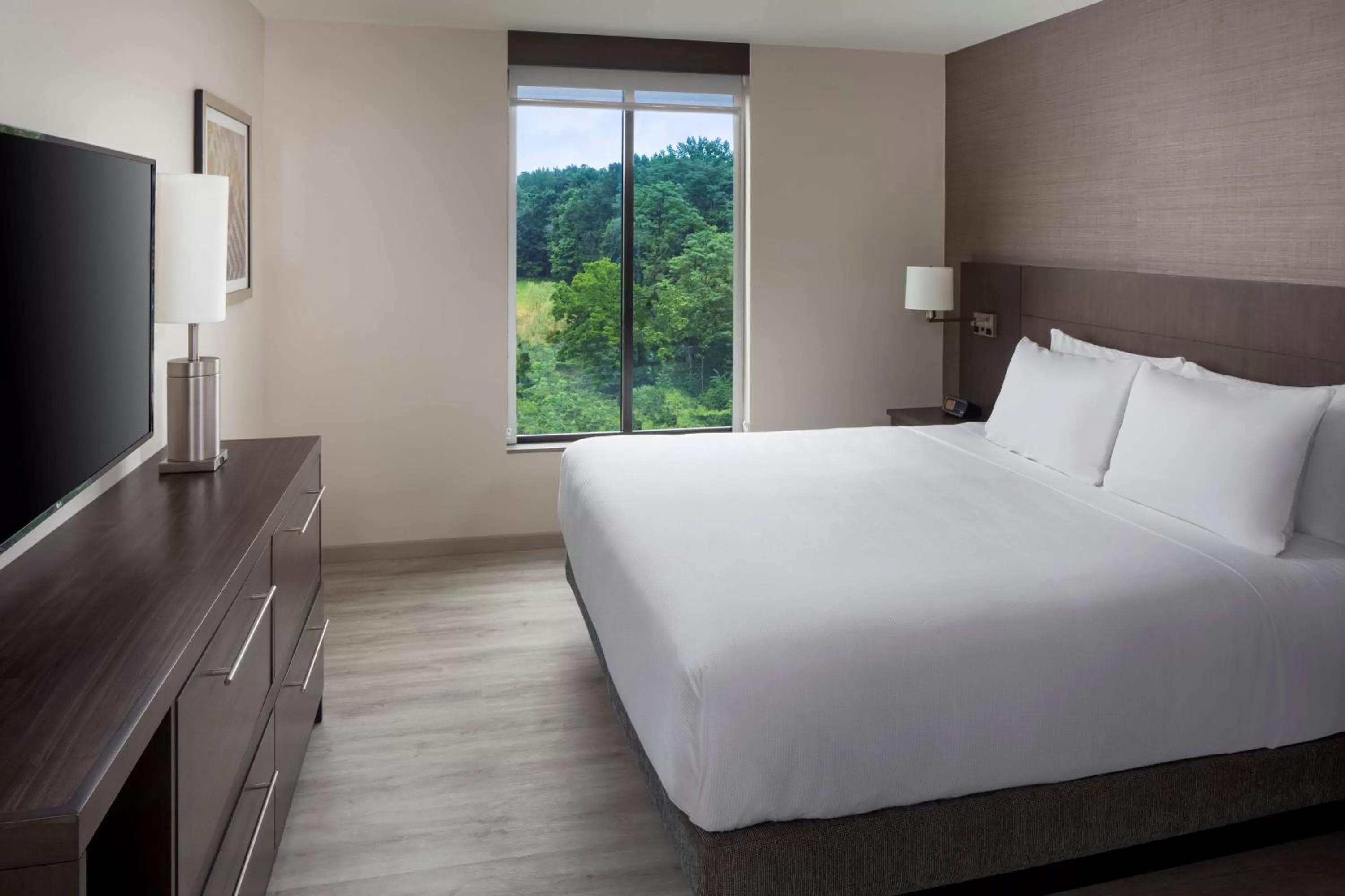 King Suite with Sofa Bed and Roll-In Shower - Disability Access in Hyatt Place Poughkeepsie - Hudson Valley