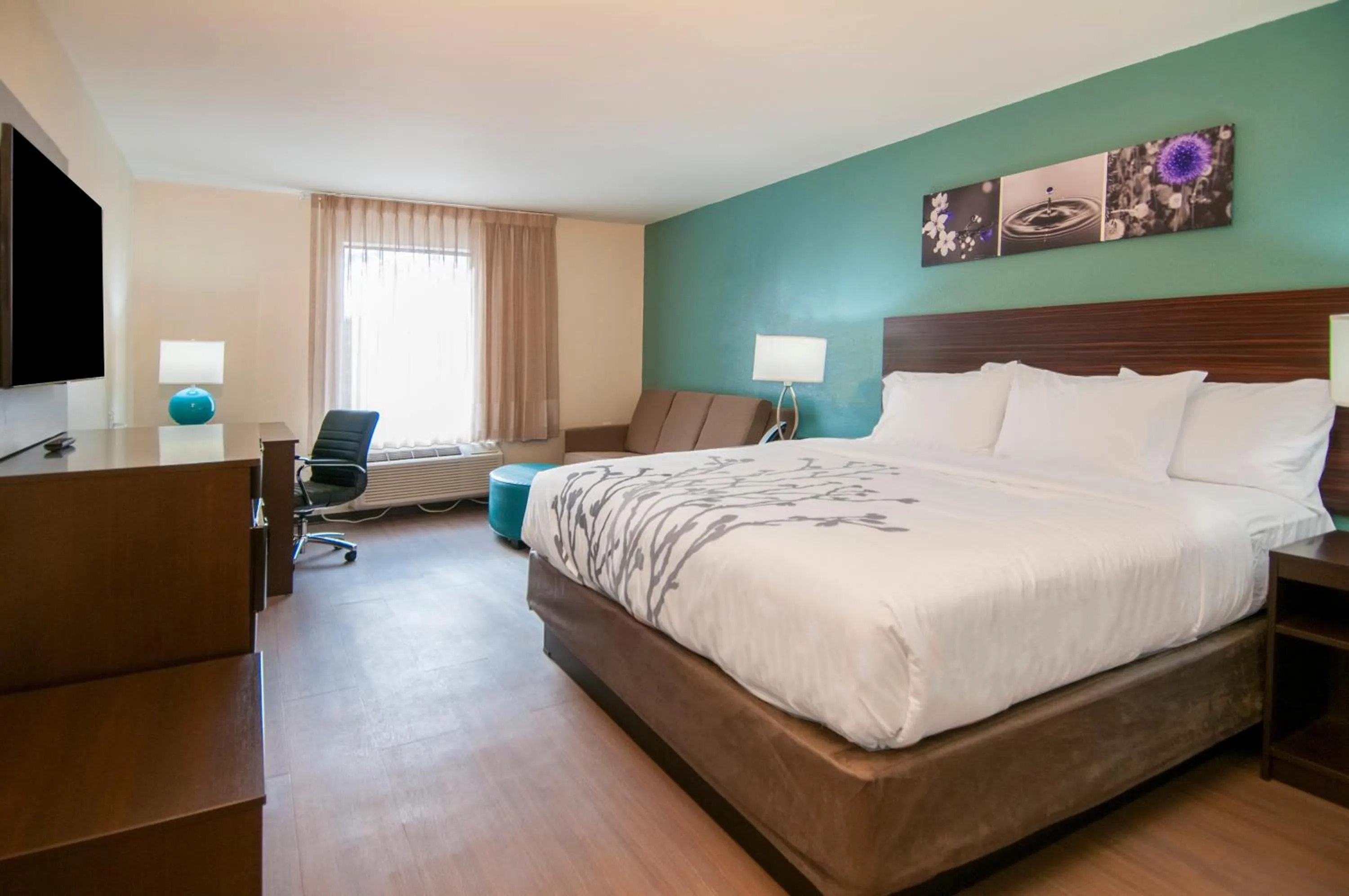 King Suite with Sofa - Non Smoking in Sleep Inn & Suites