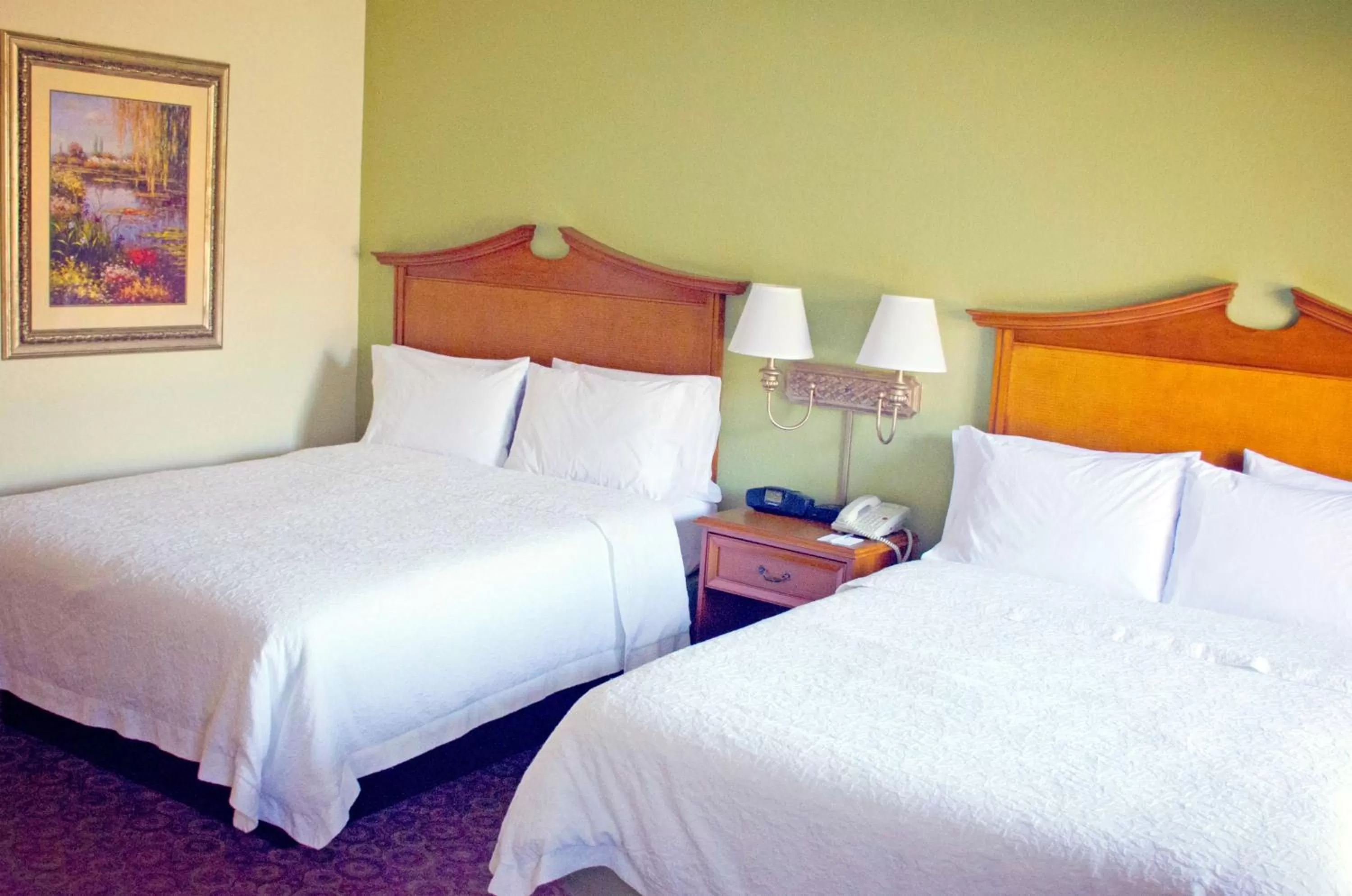 Queen Studio Suite with Two Queen Beds - Mobility Access/Non-Smoking in Hampton Inn & Suites College Station
