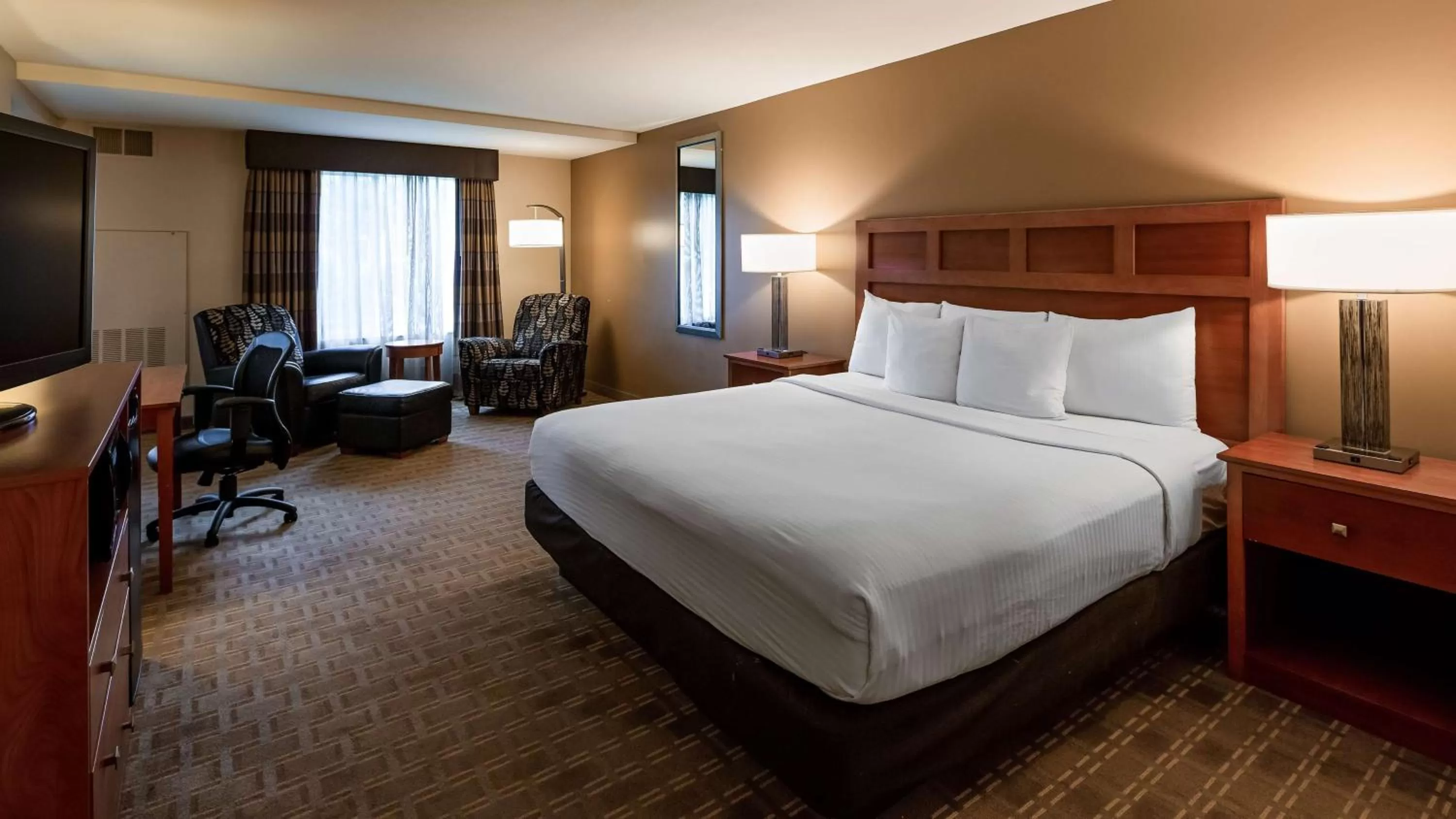 King Room with Roll-In Shower - Disability Access in Wyndham Bloomington - Mall of America