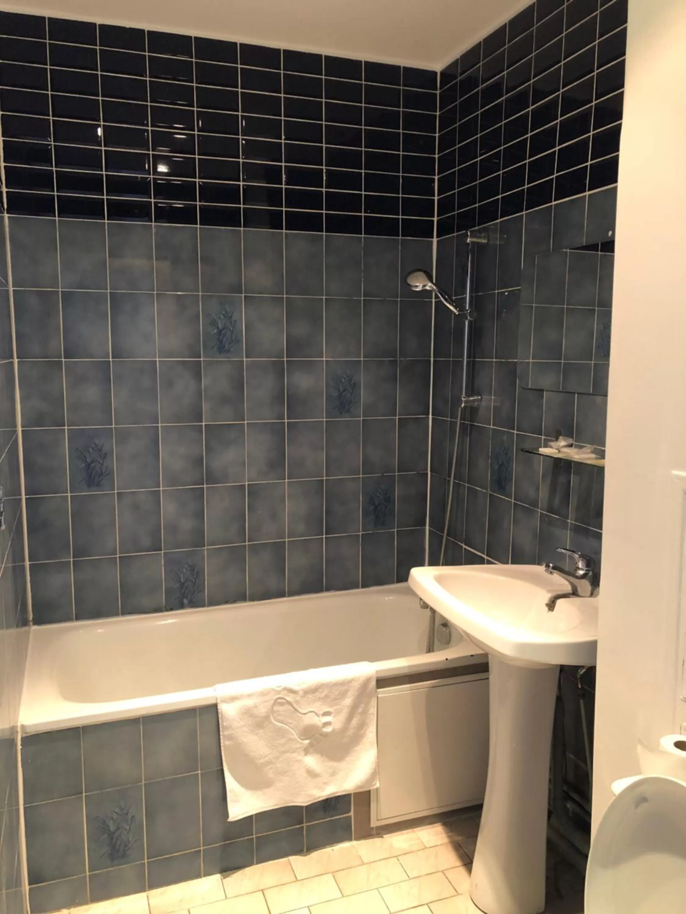 Superior Double Room with Bath in Hôtel de Bordeaux