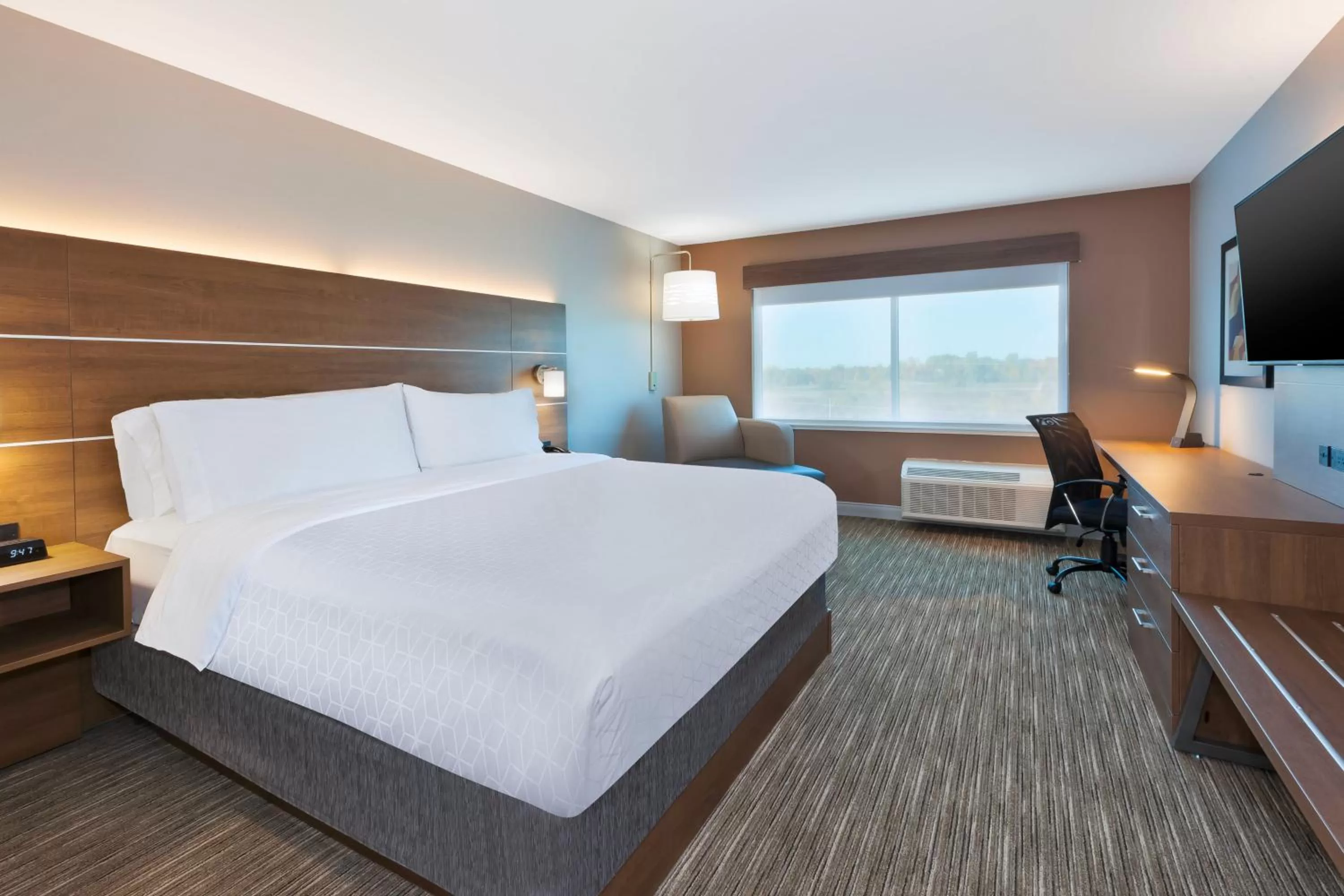 Standard King Room in Holiday Inn Express & Suites - Cedar Springs - Grand Rapids N by IHG