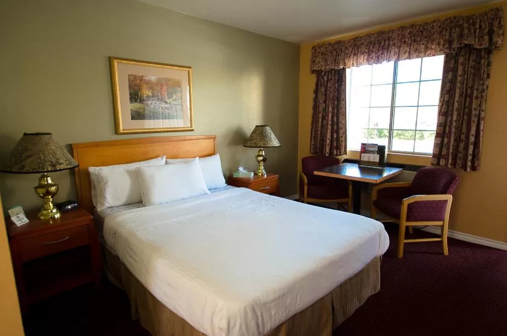 Queen Room in Tulip Inn Mount Vernon