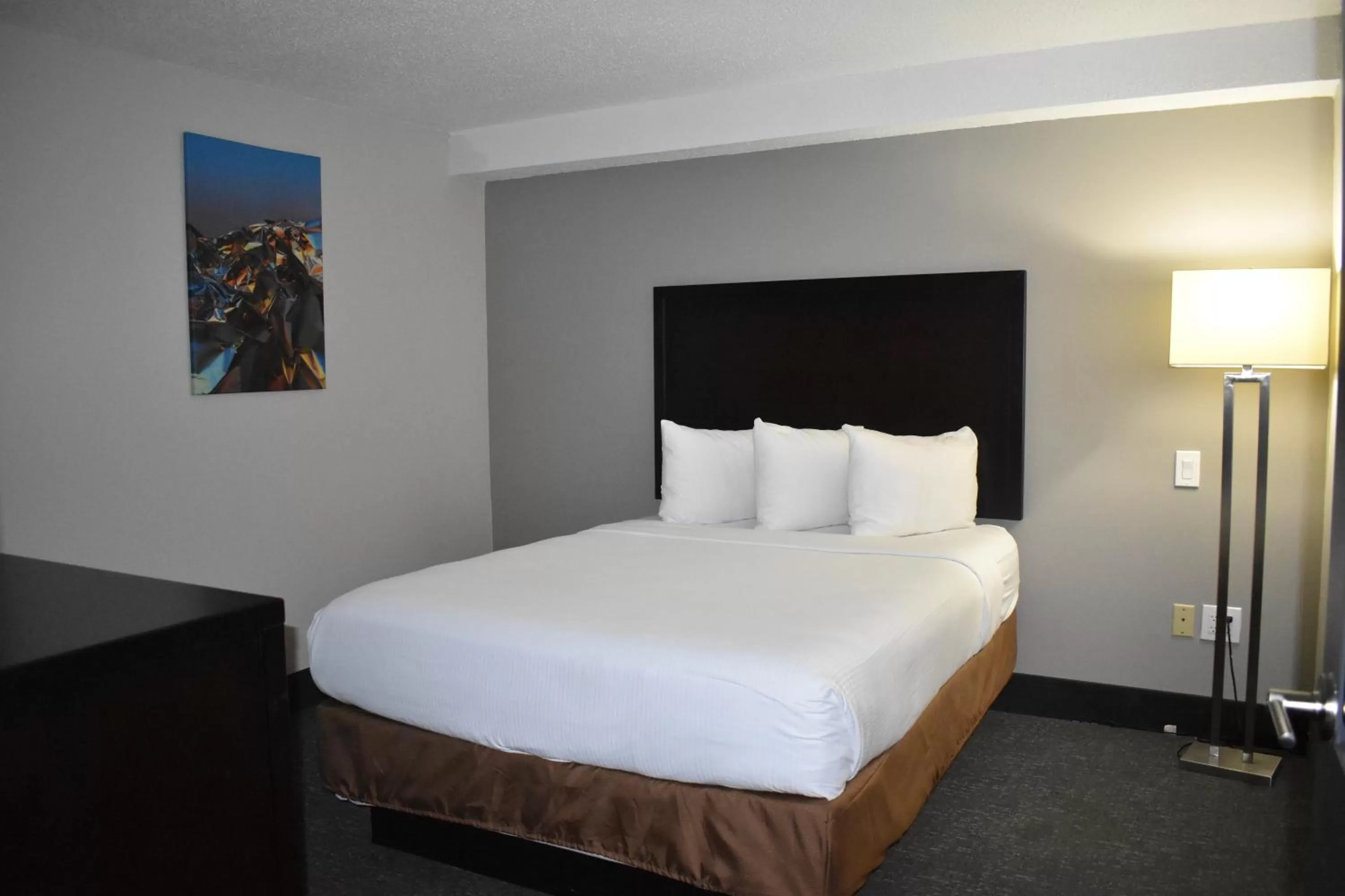 Two-Bedroom Premium Suite - Non-Smoking in Wingate by Wyndham Atlanta Galleria/ Ballpark