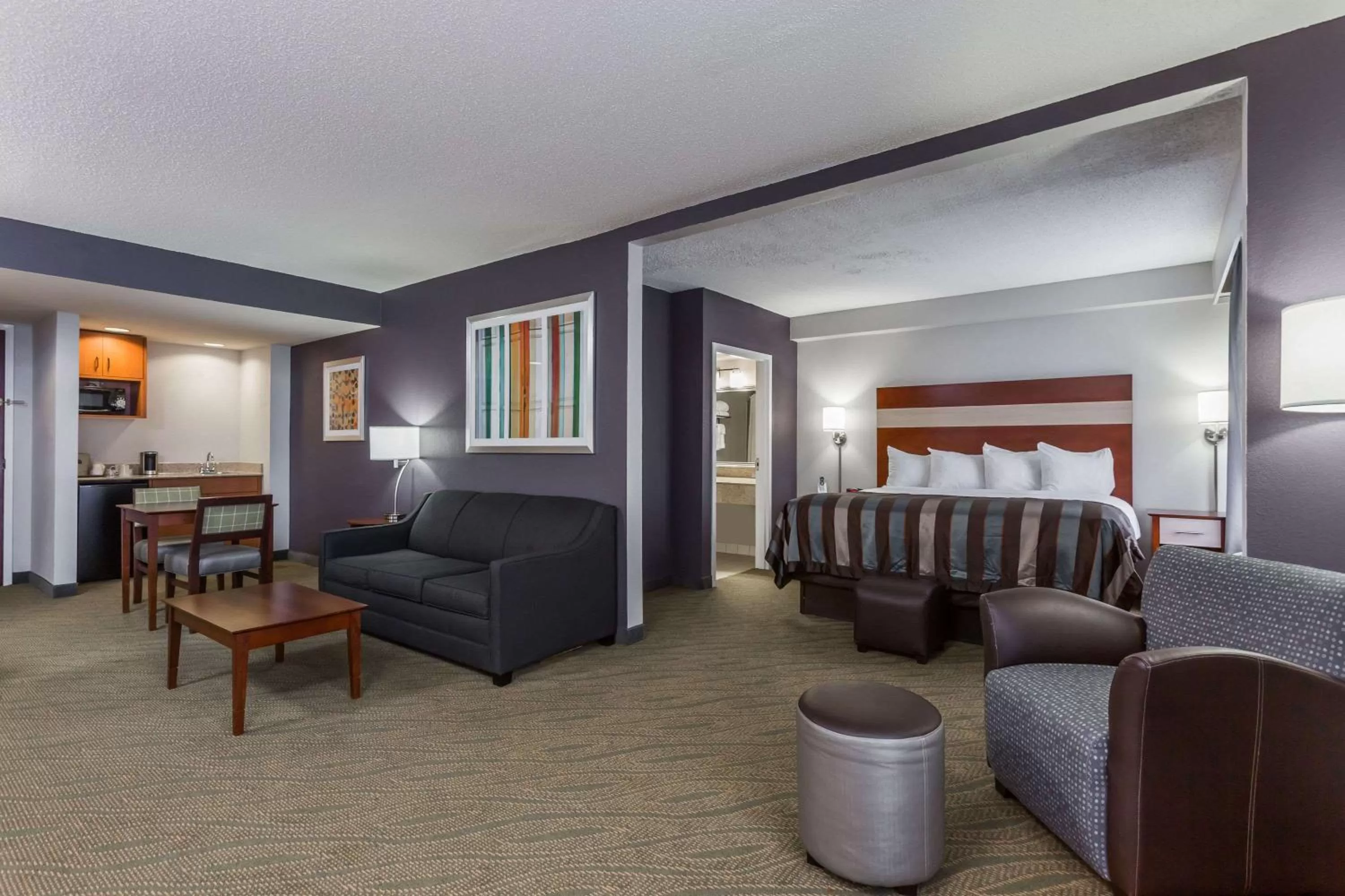 Junior King Suite - Non-Smoking in Wingate by Wyndham Chesapeake