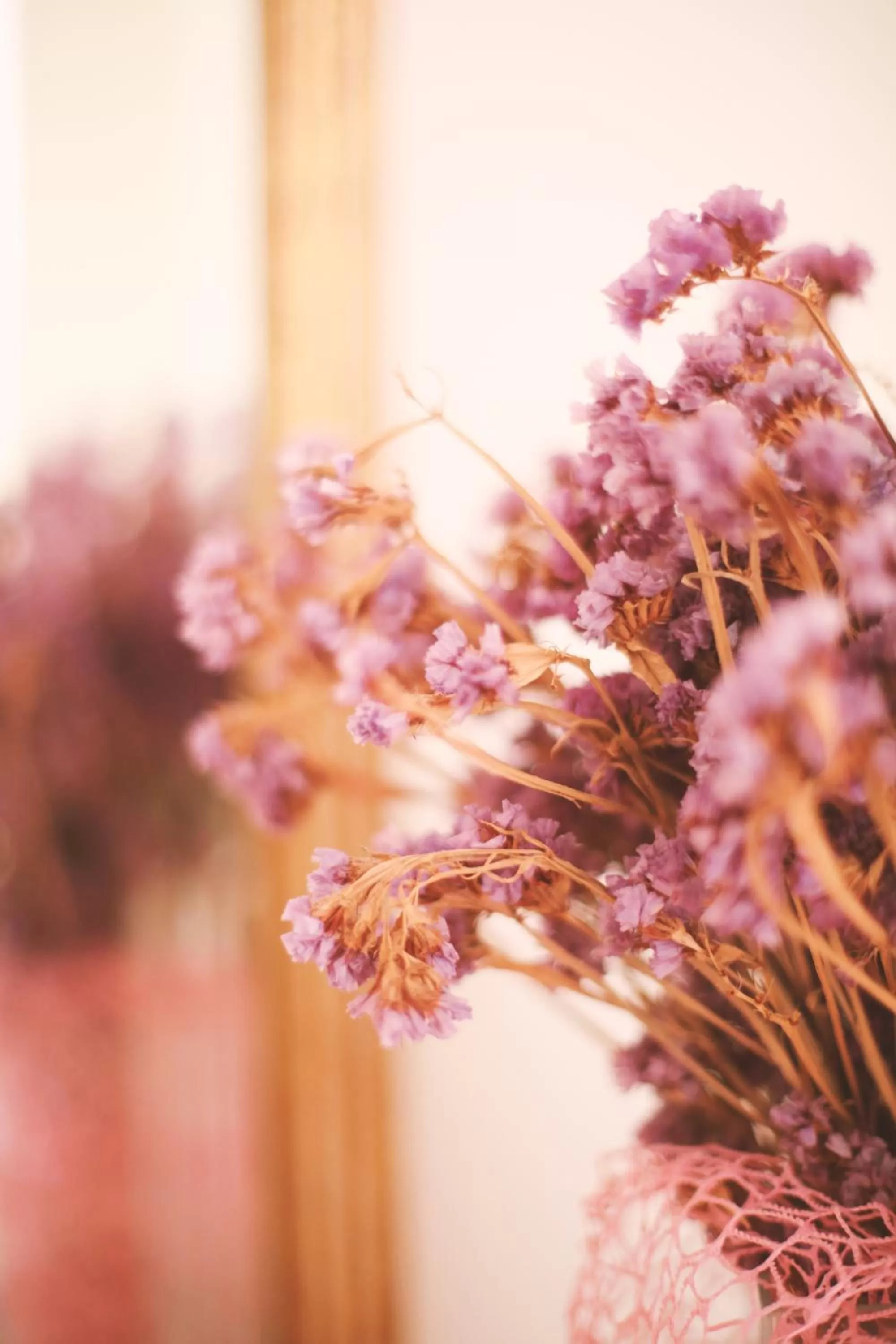 Twin Room in Bed & Breakfast Spigolatrice