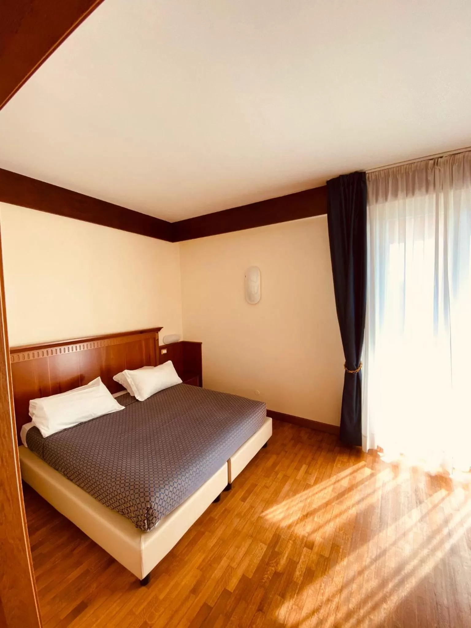 Double Room in Hotel Bellevue